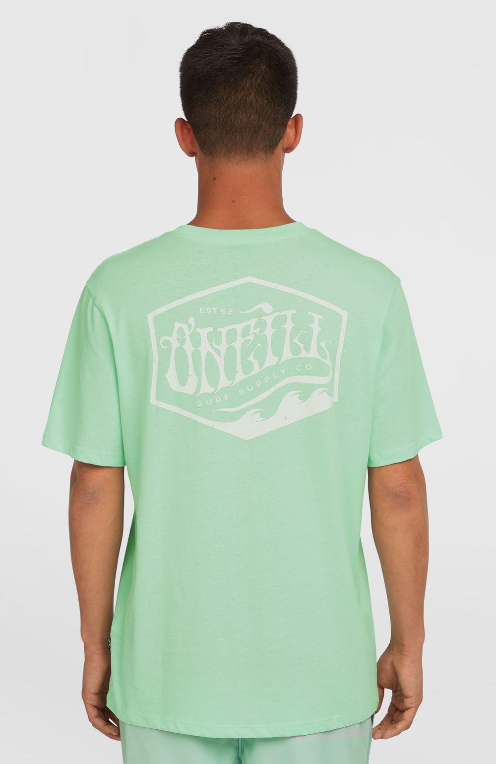Box Logo T-Shirt Mildrew Mint