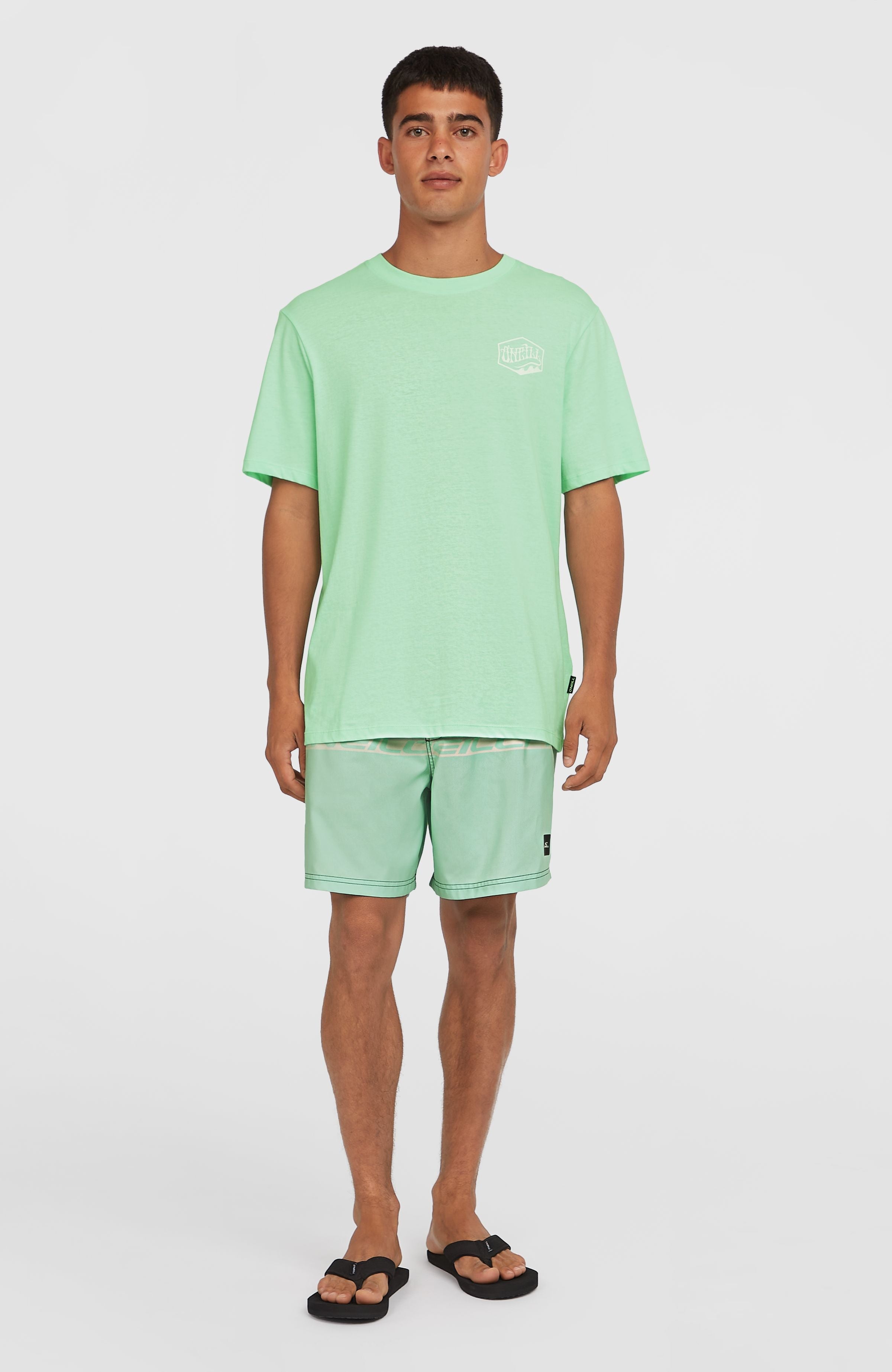 Box Logo T-Shirt Mildrew Mint