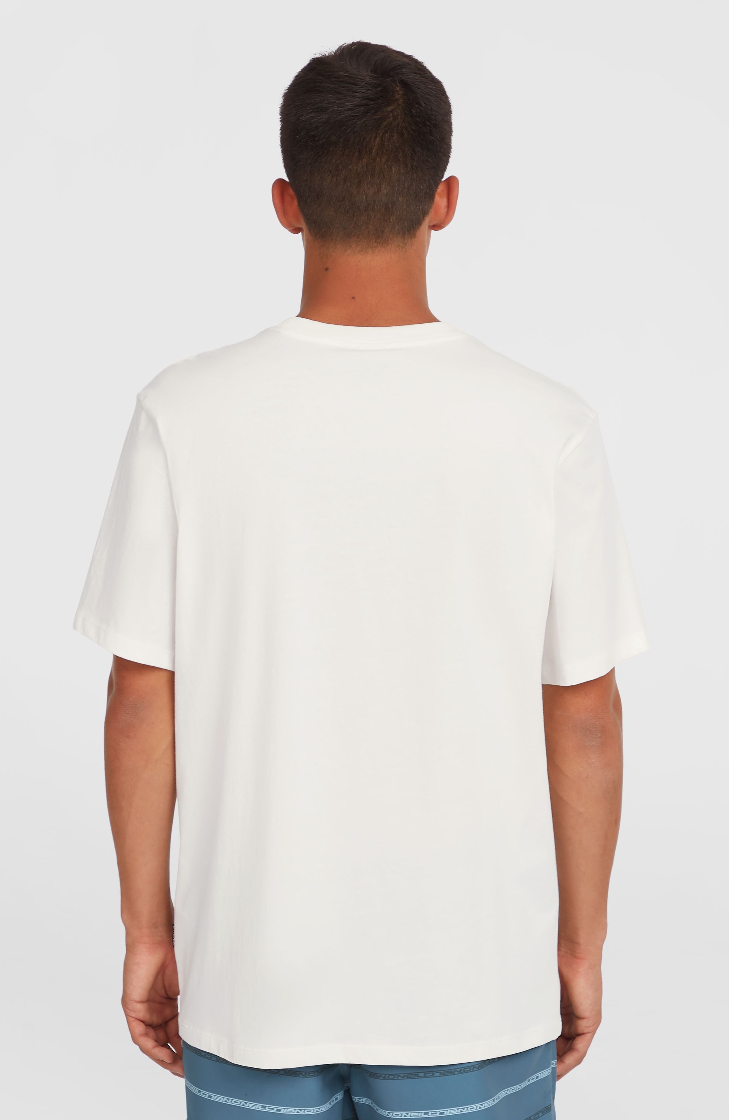 Gradient T-Shirt Snow White 2