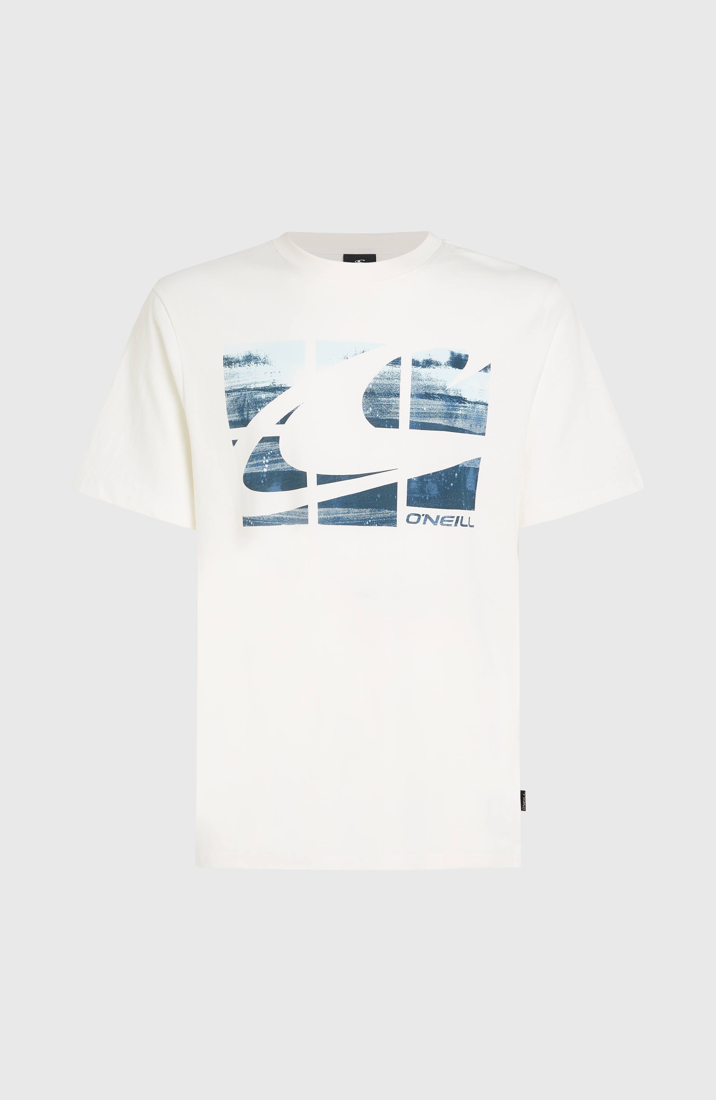 Gradient T-Shirt Snow White 2