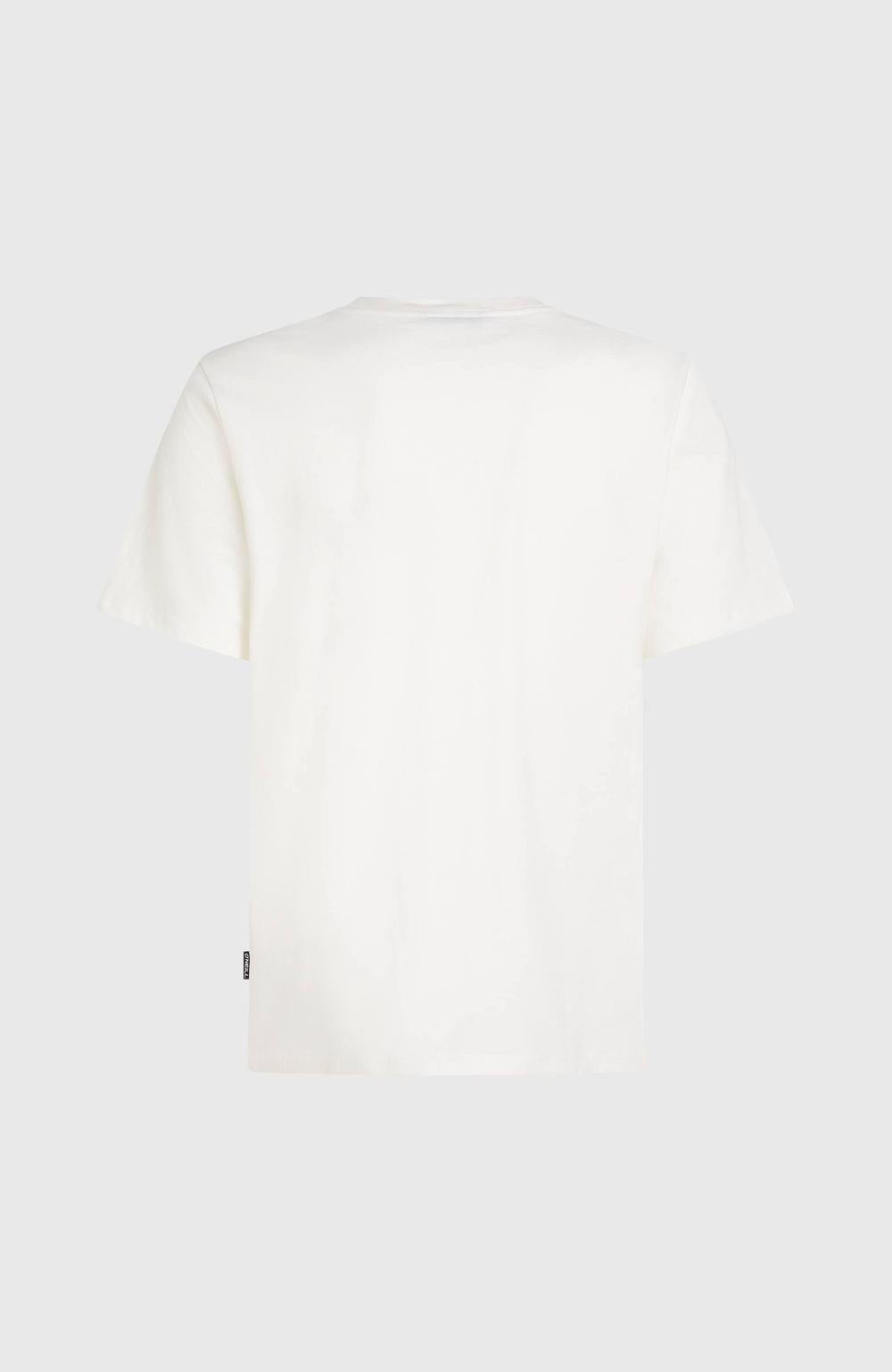 Gradient T-Shirt Snow White 2