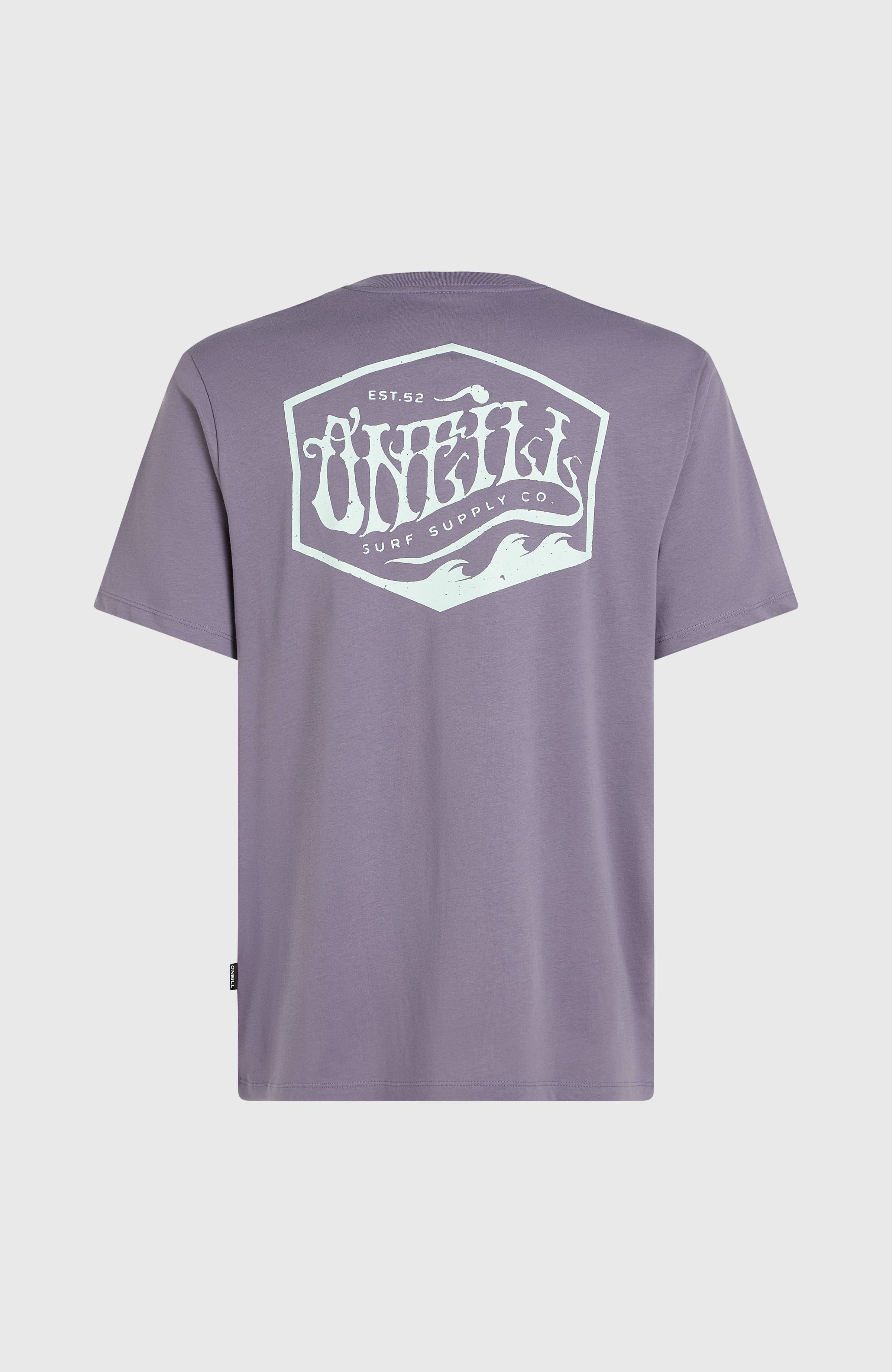 Box Logo T-Shirt Storm