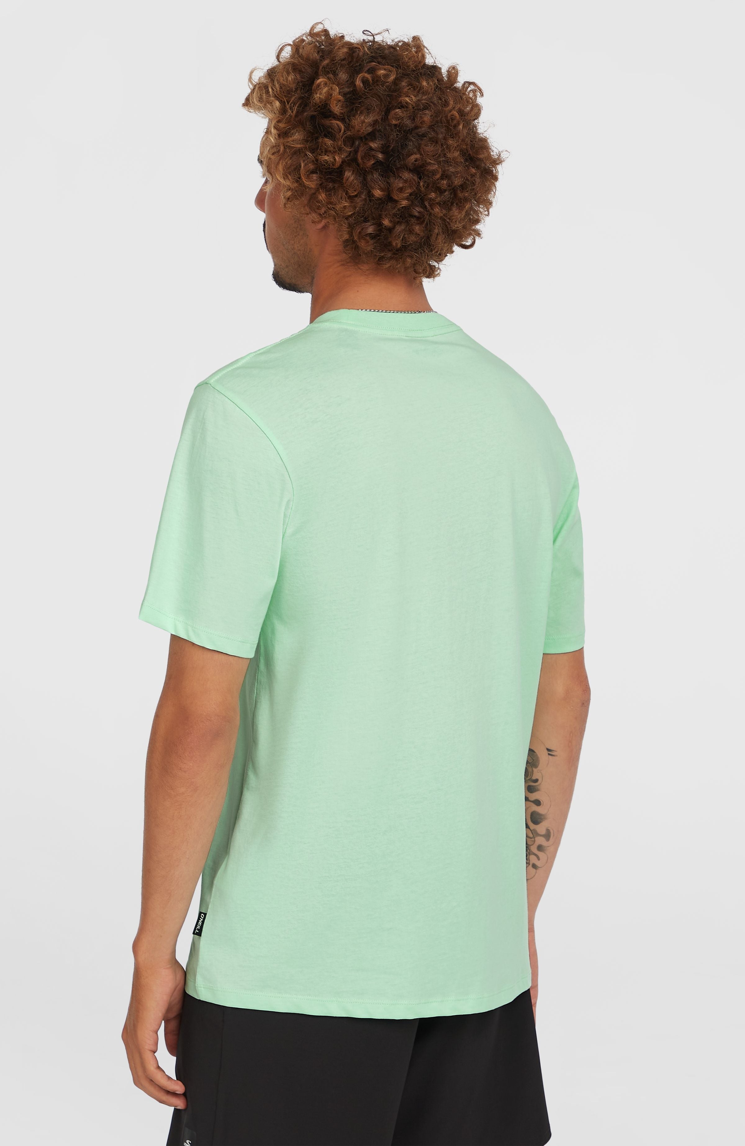 Stripe T-Shirt Mildrew Mint