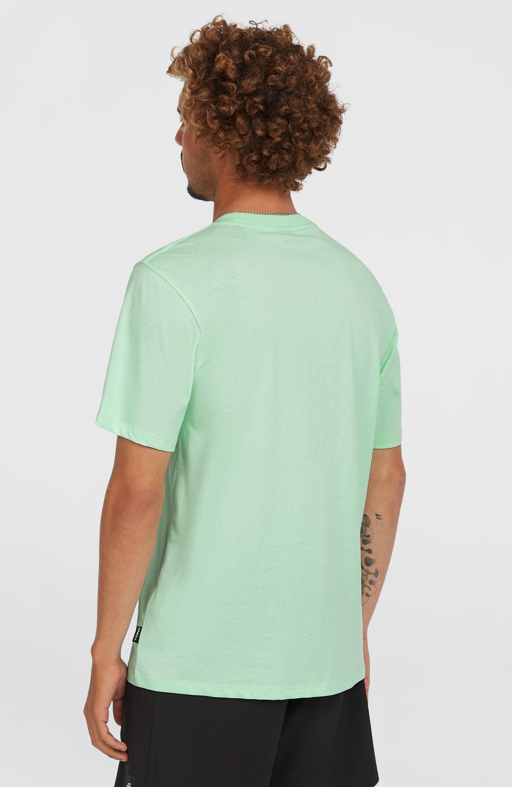Stripe T-Shirt Mildrew Mint