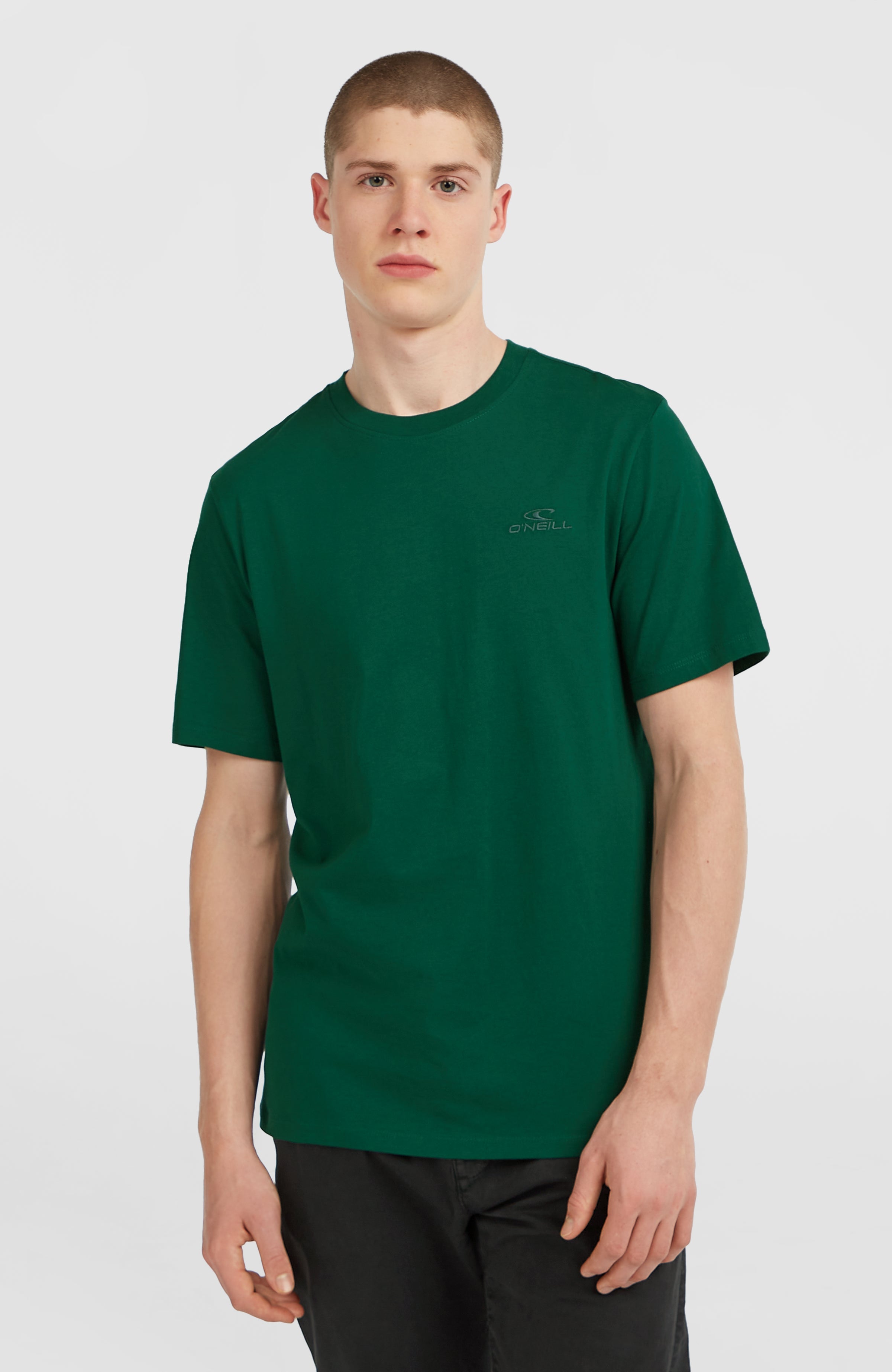 Small Logo T-Shirt Emerald Envy
