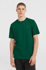 Small Logo T-Shirt Emerald Envy