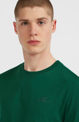 Small Logo T-Shirt Emerald Envy