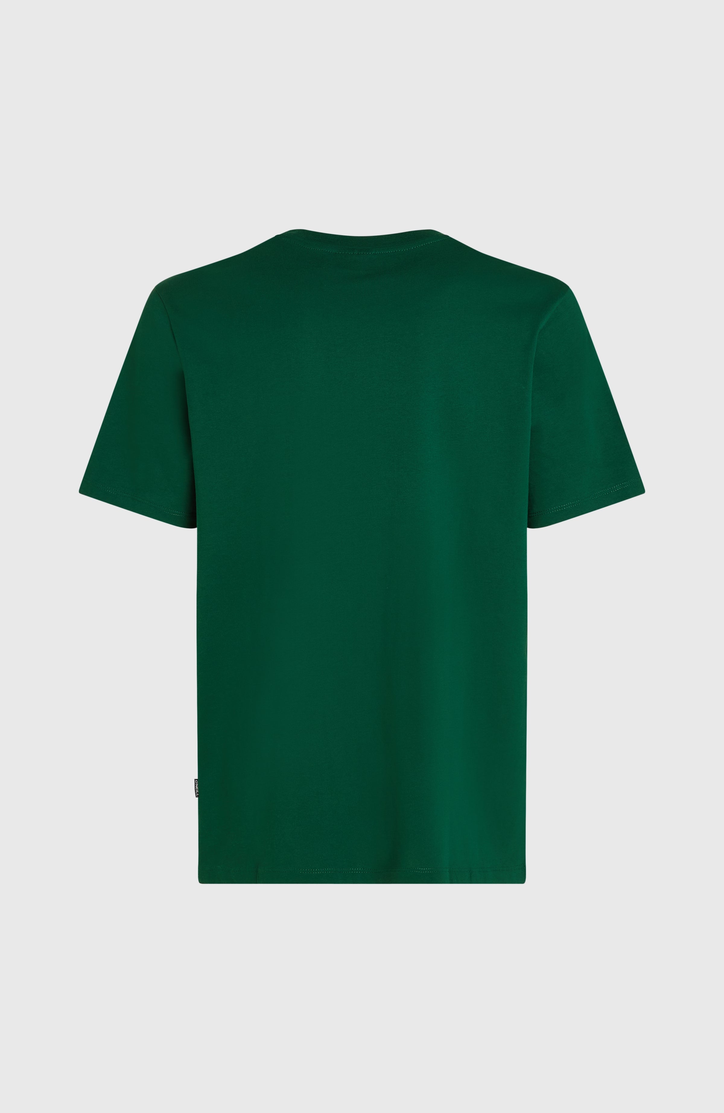 Small Logo T-Shirt Emerald Envy