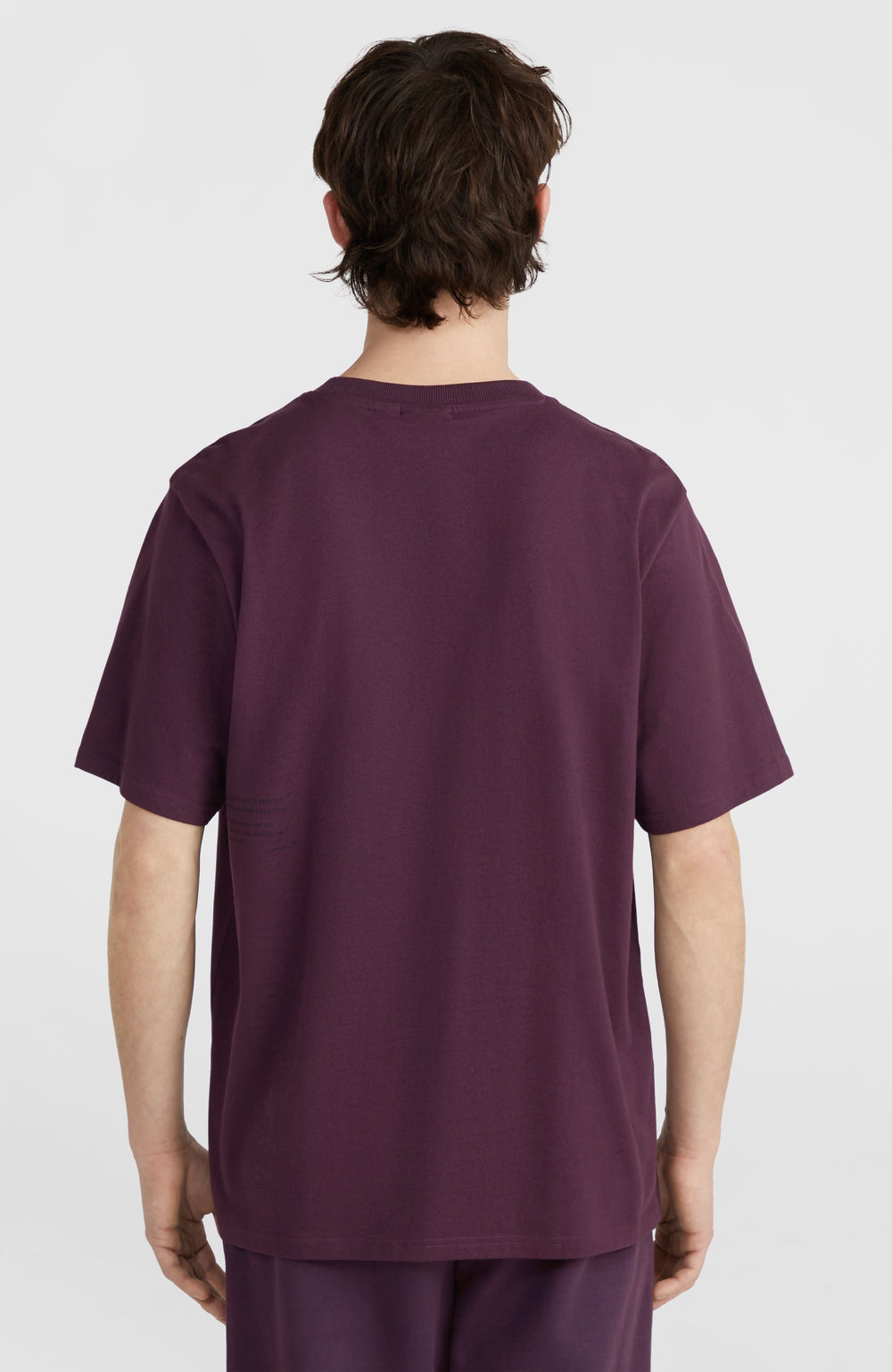 Future Surf Society T-Shirt Aubergine