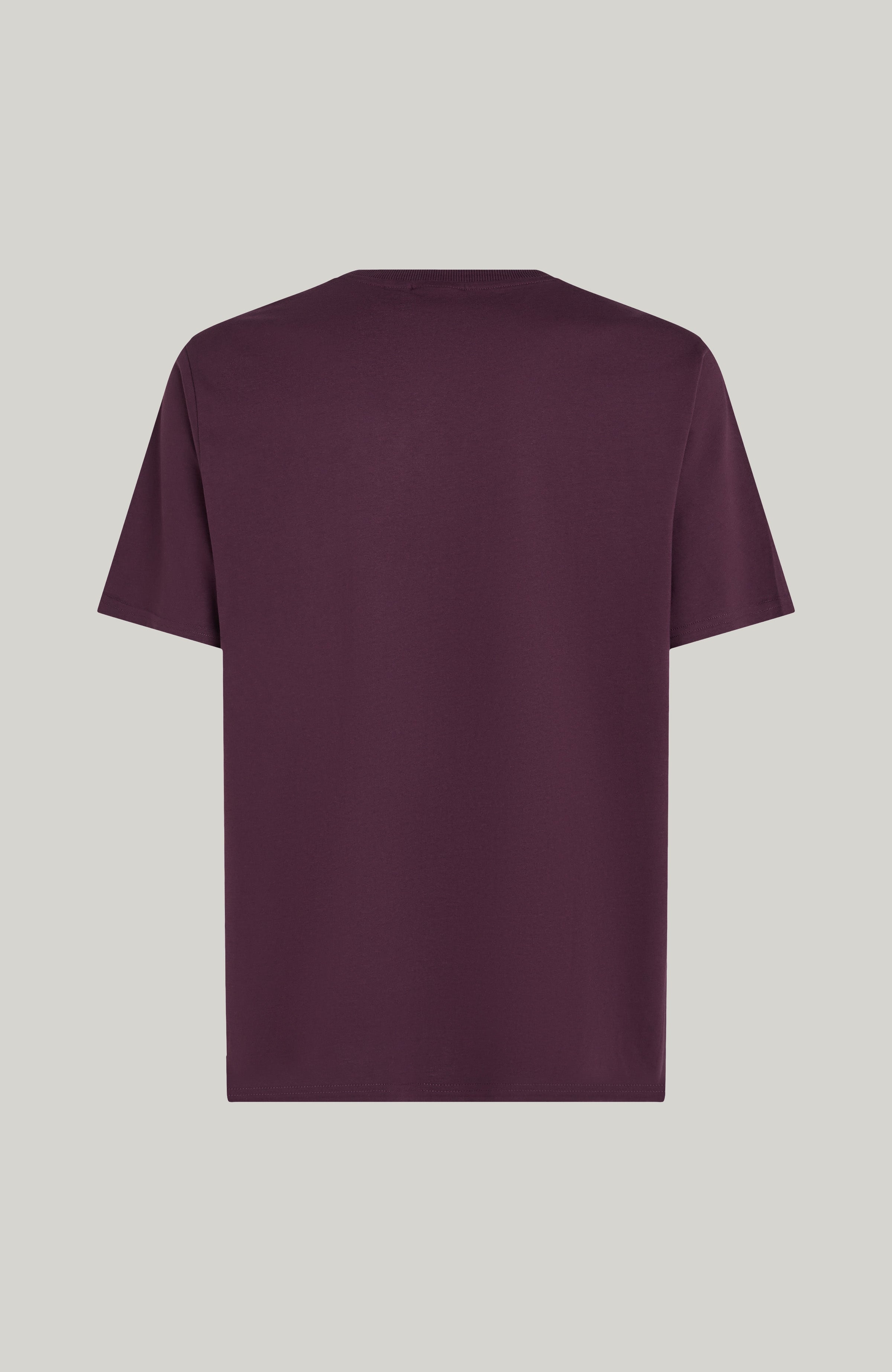 Future Surf Society T-Shirt Aubergine