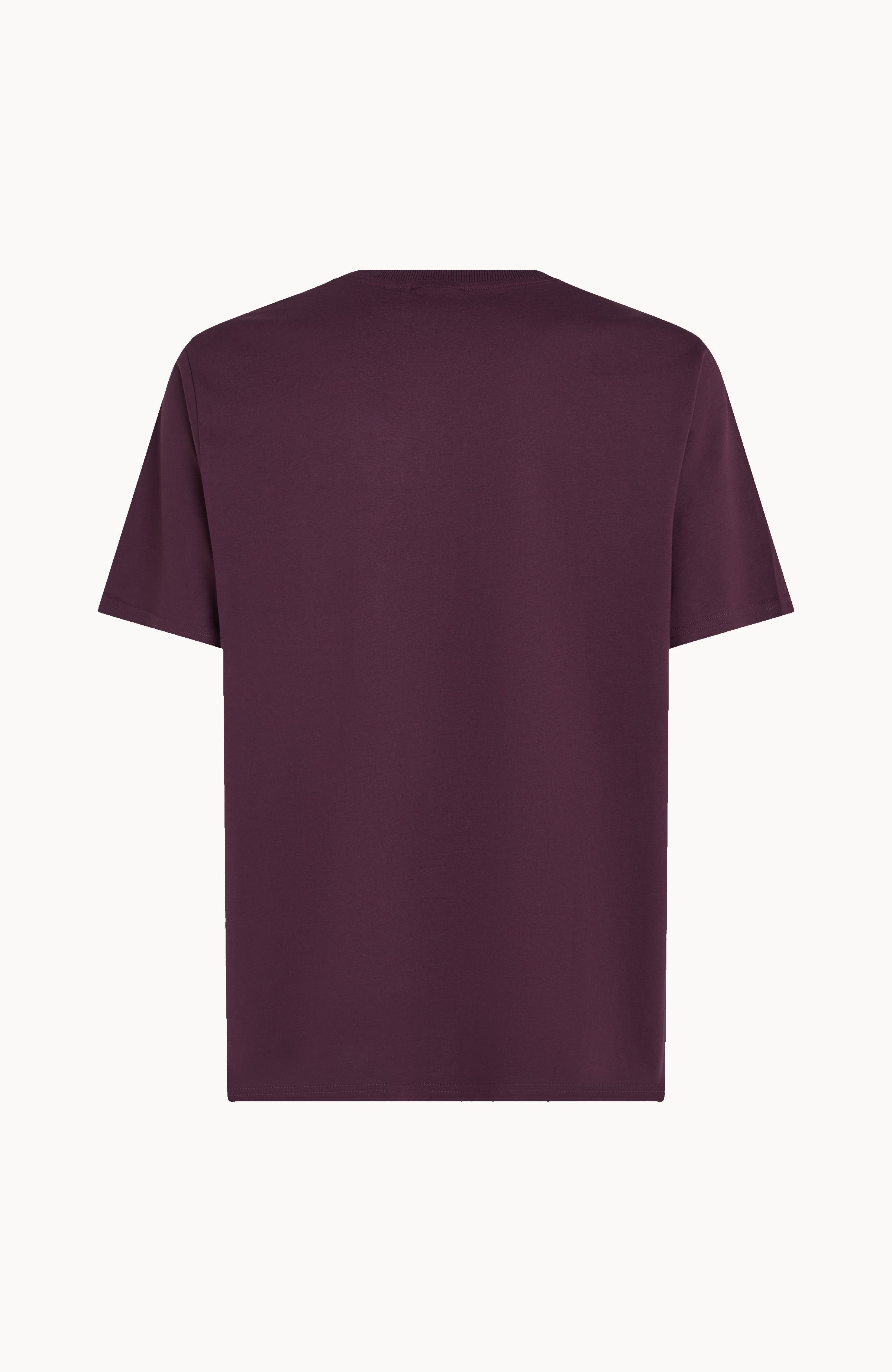 Future Surf Society T-Shirt Aubergine