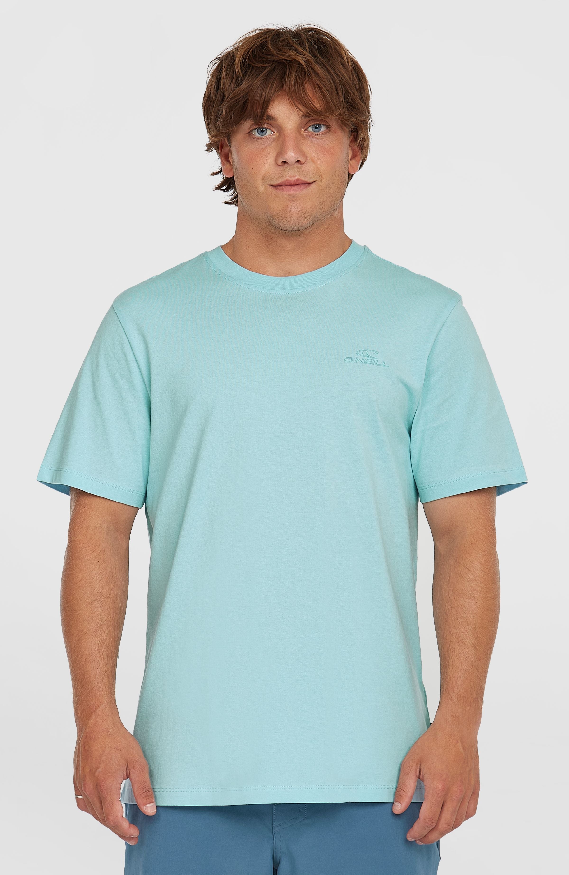 Small Logo T-Shirt Morning Glory