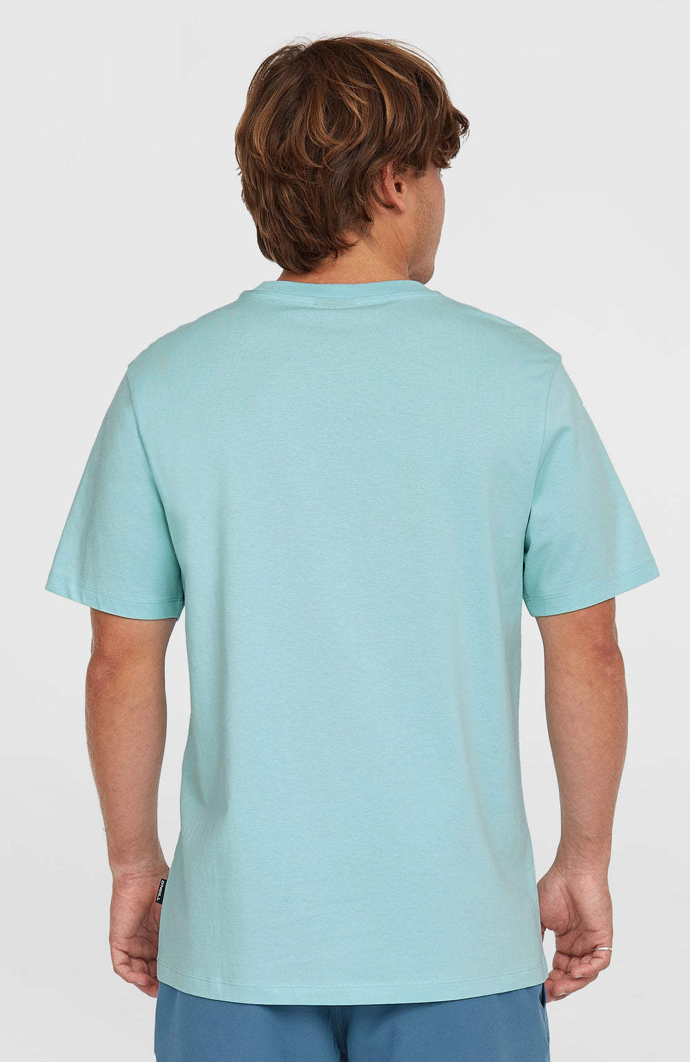 Small Logo T-Shirt Morning Glory
