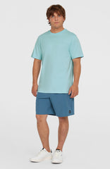 Small Logo T-Shirt Morning Glory