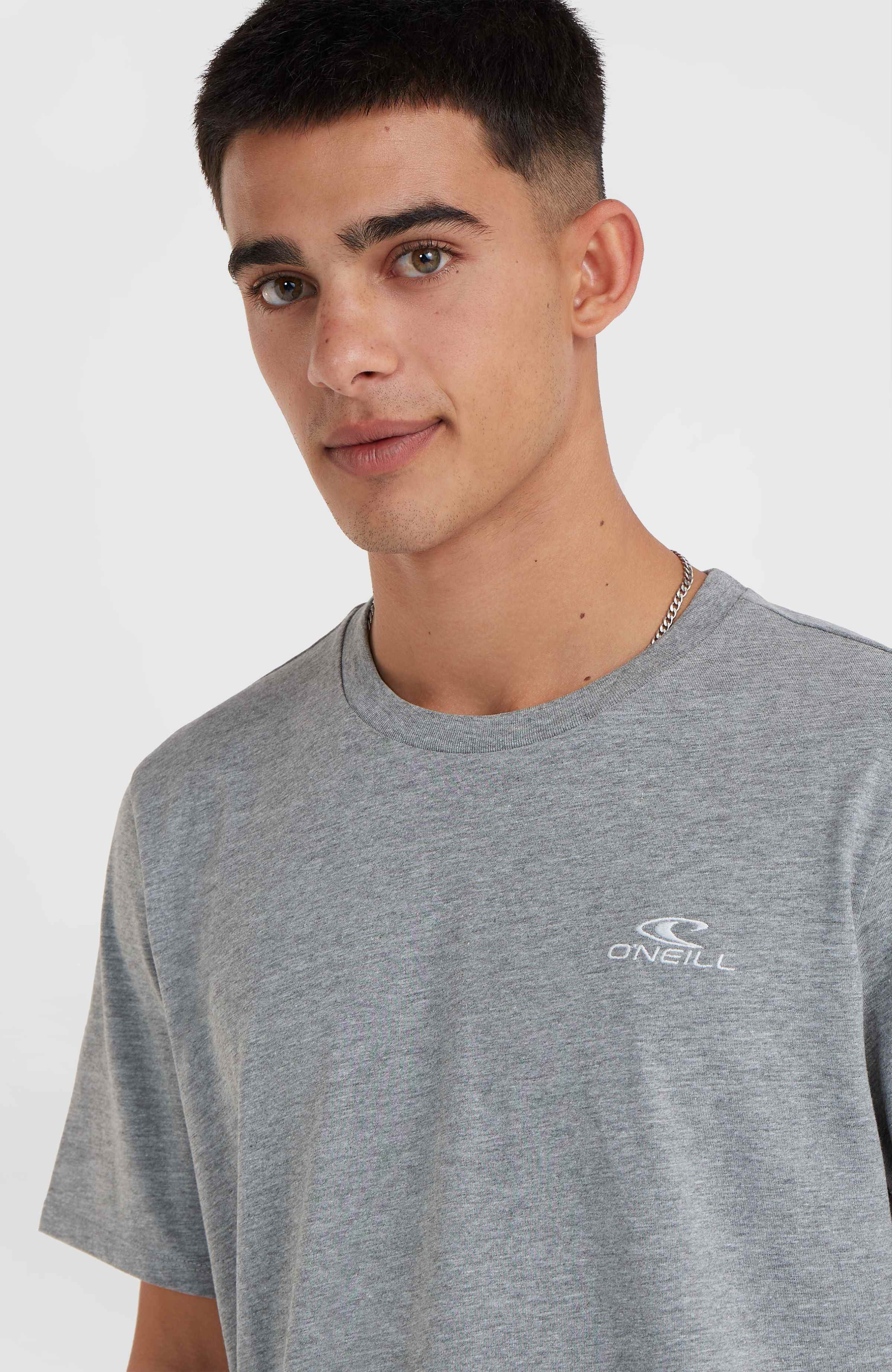 O'Neill Small Logo T-Shirt Silver Melee