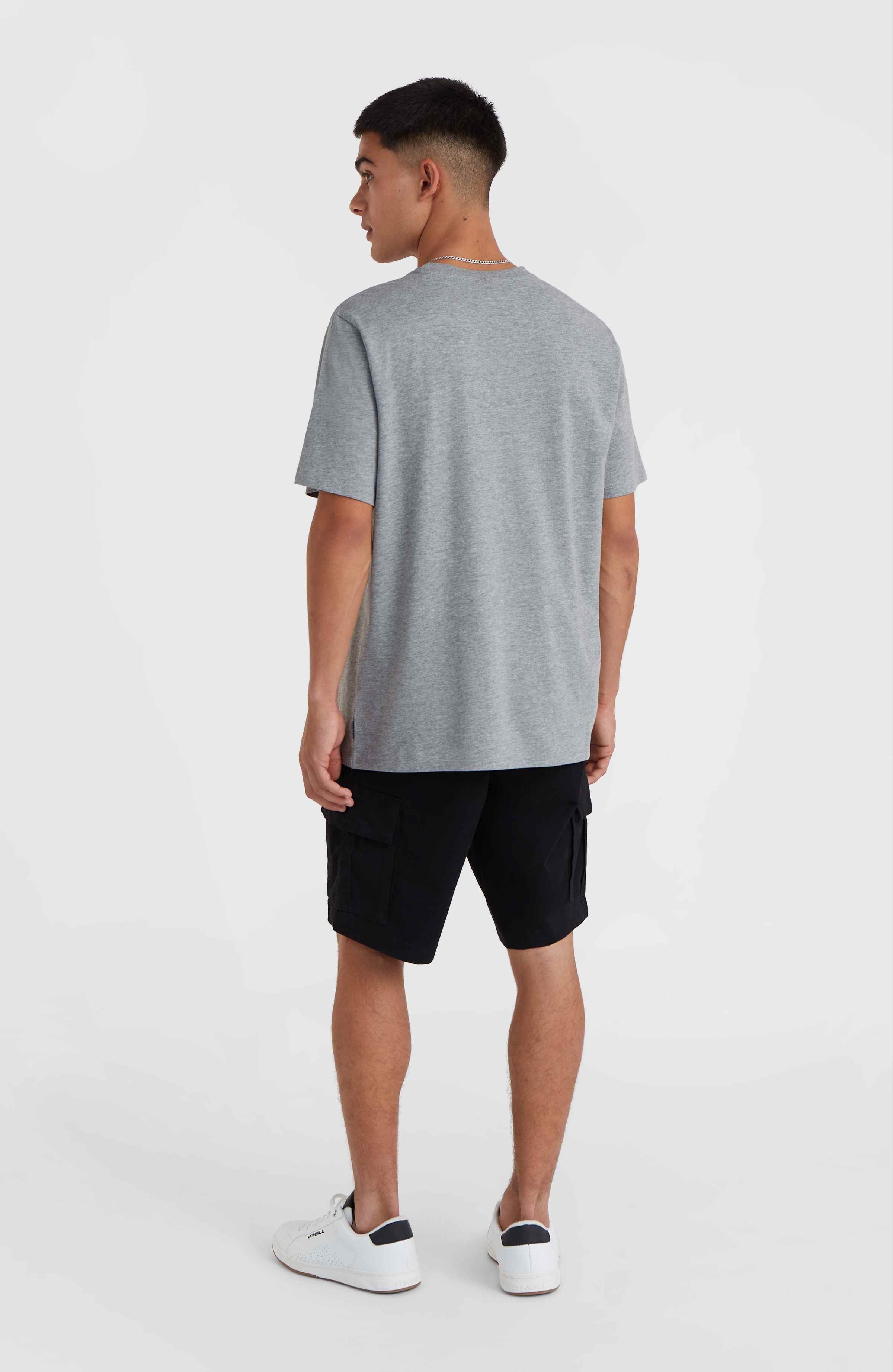 O'Neill Small Logo T-Shirt Silver Melee