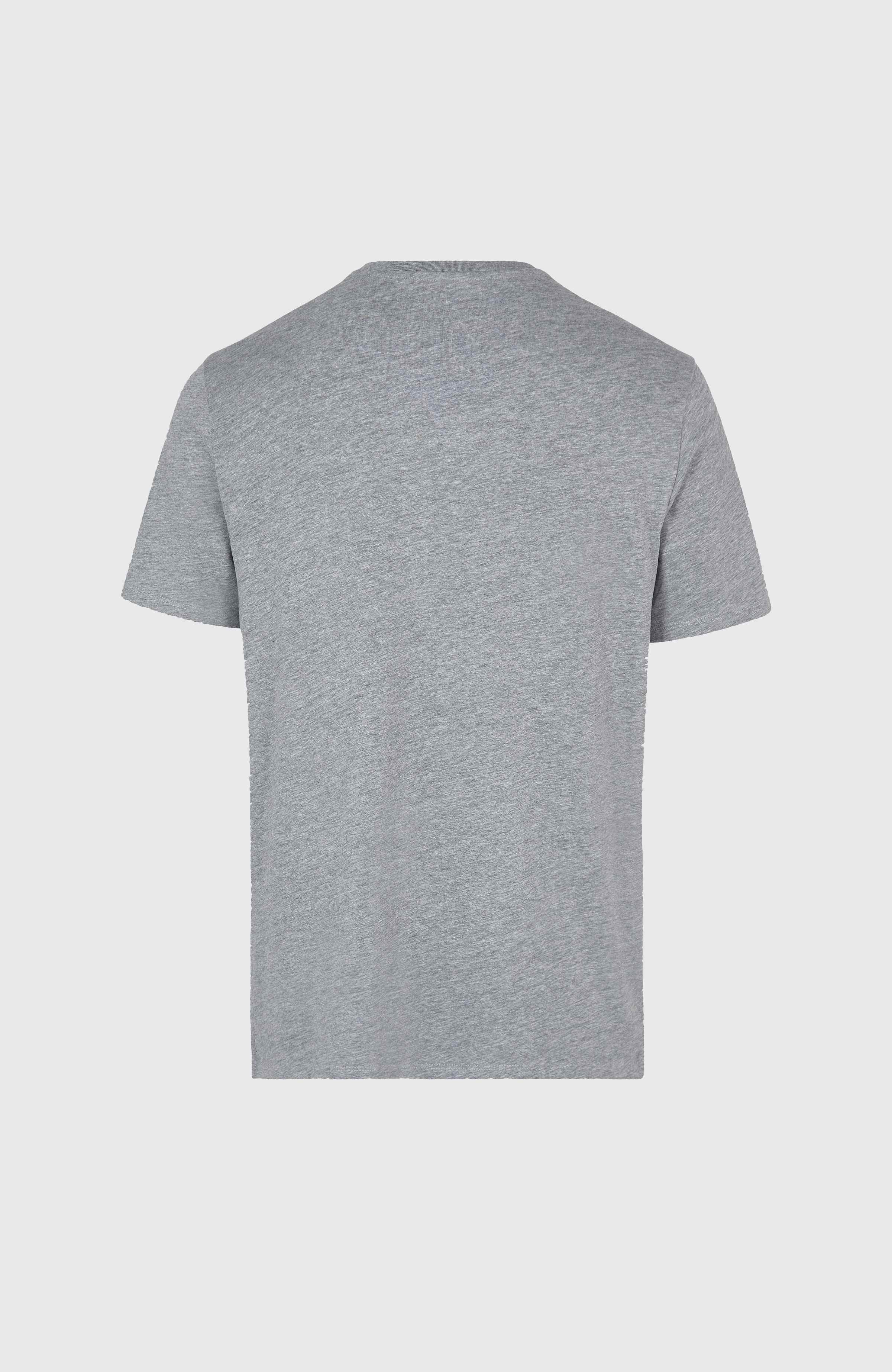 O'Neill Small Logo T-Shirt Silver Melee