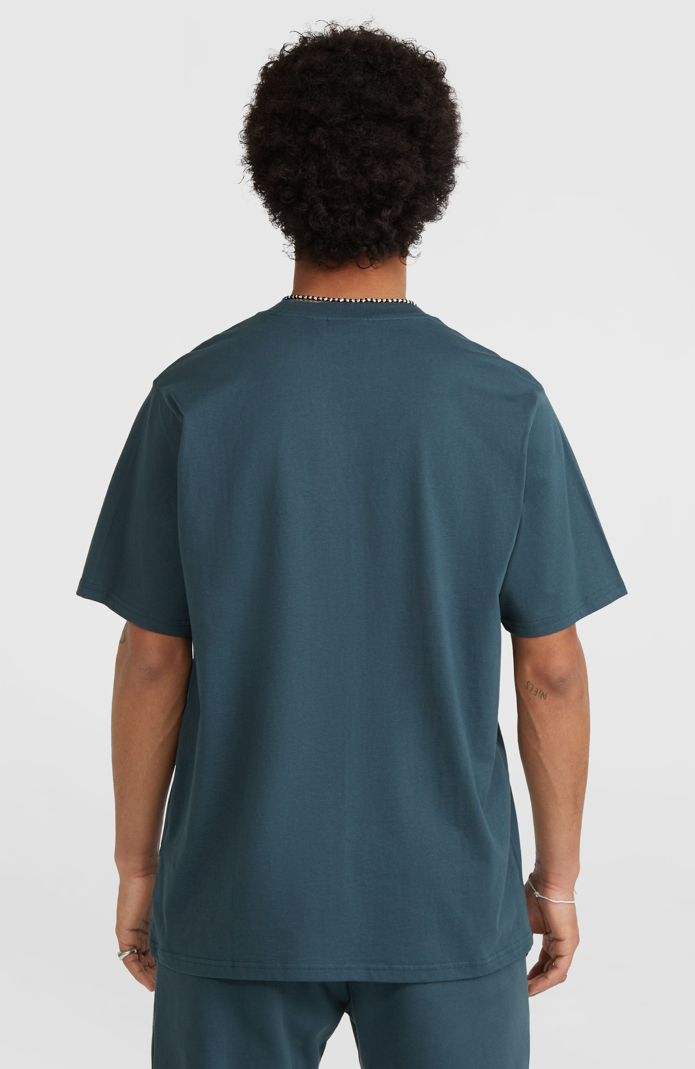 Future Surf Society T-Shirt Alma Steel