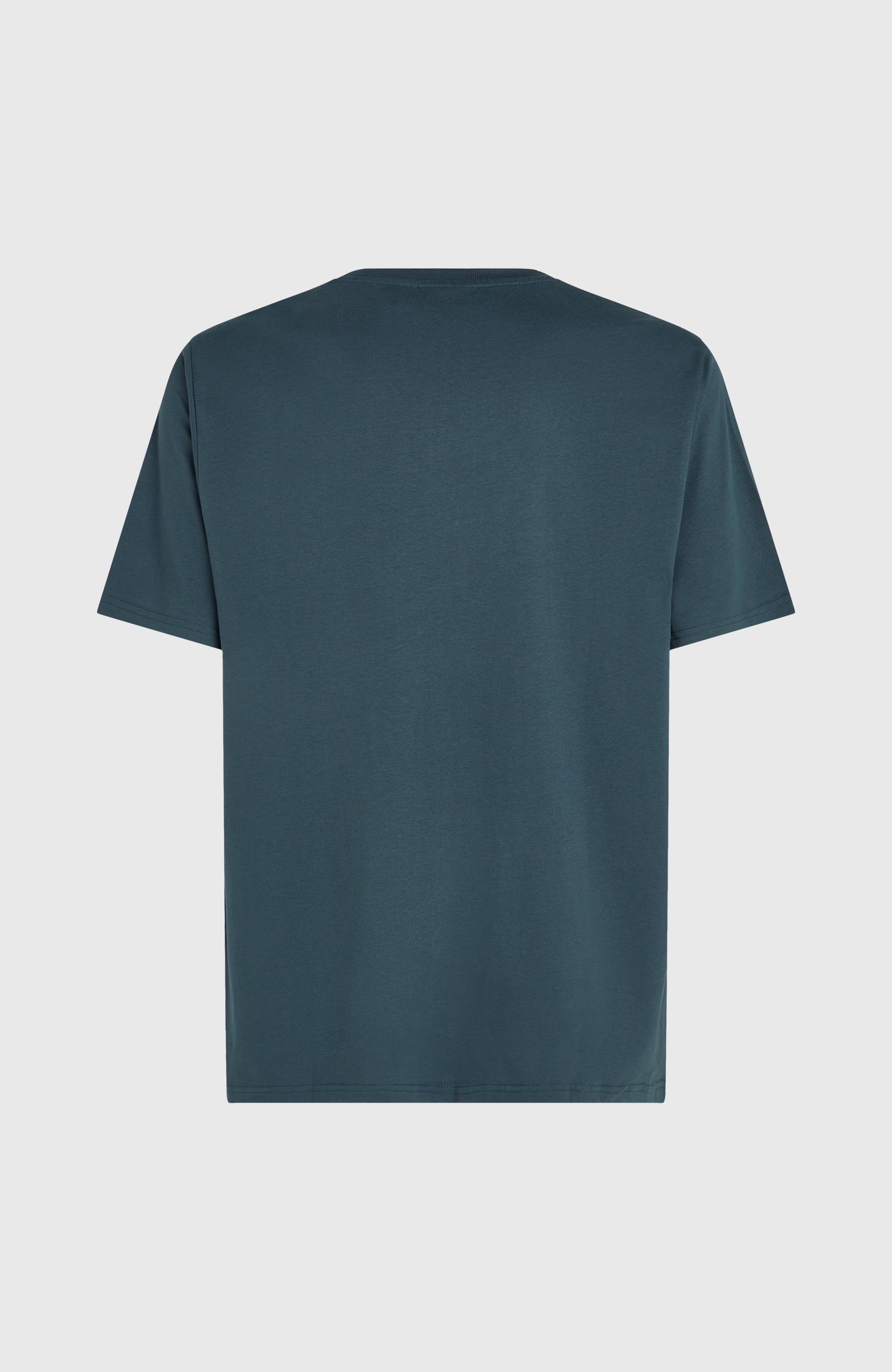 Future Surf Society T-Shirt Alma Steel