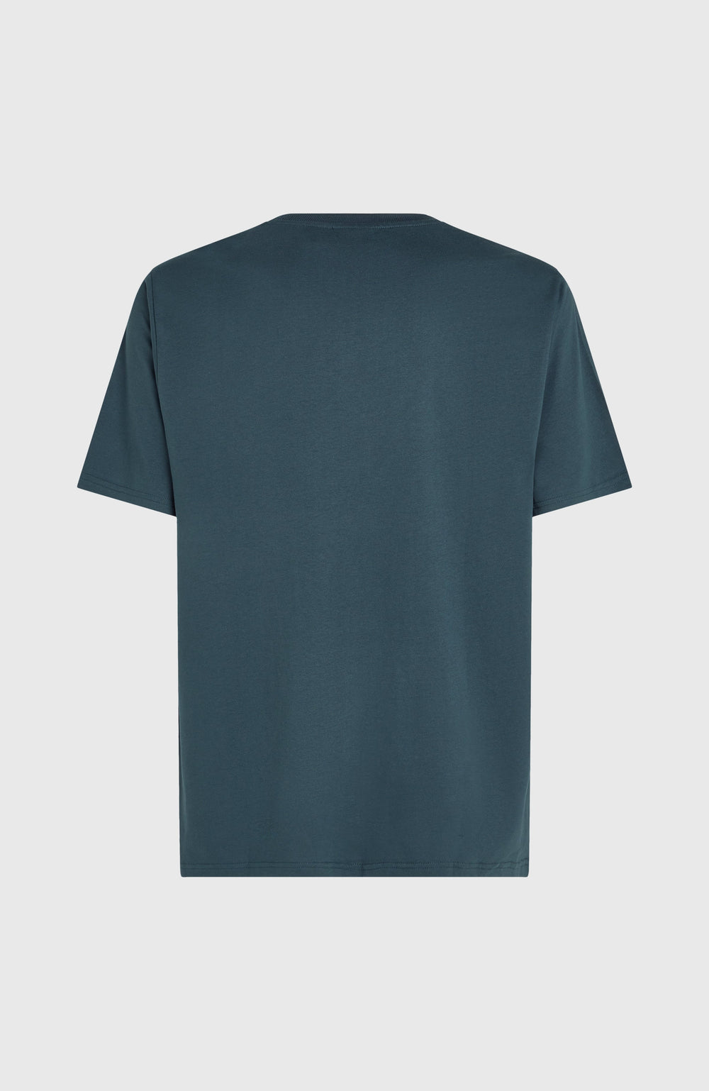 Future Surf Society T-Shirt Alma Steel