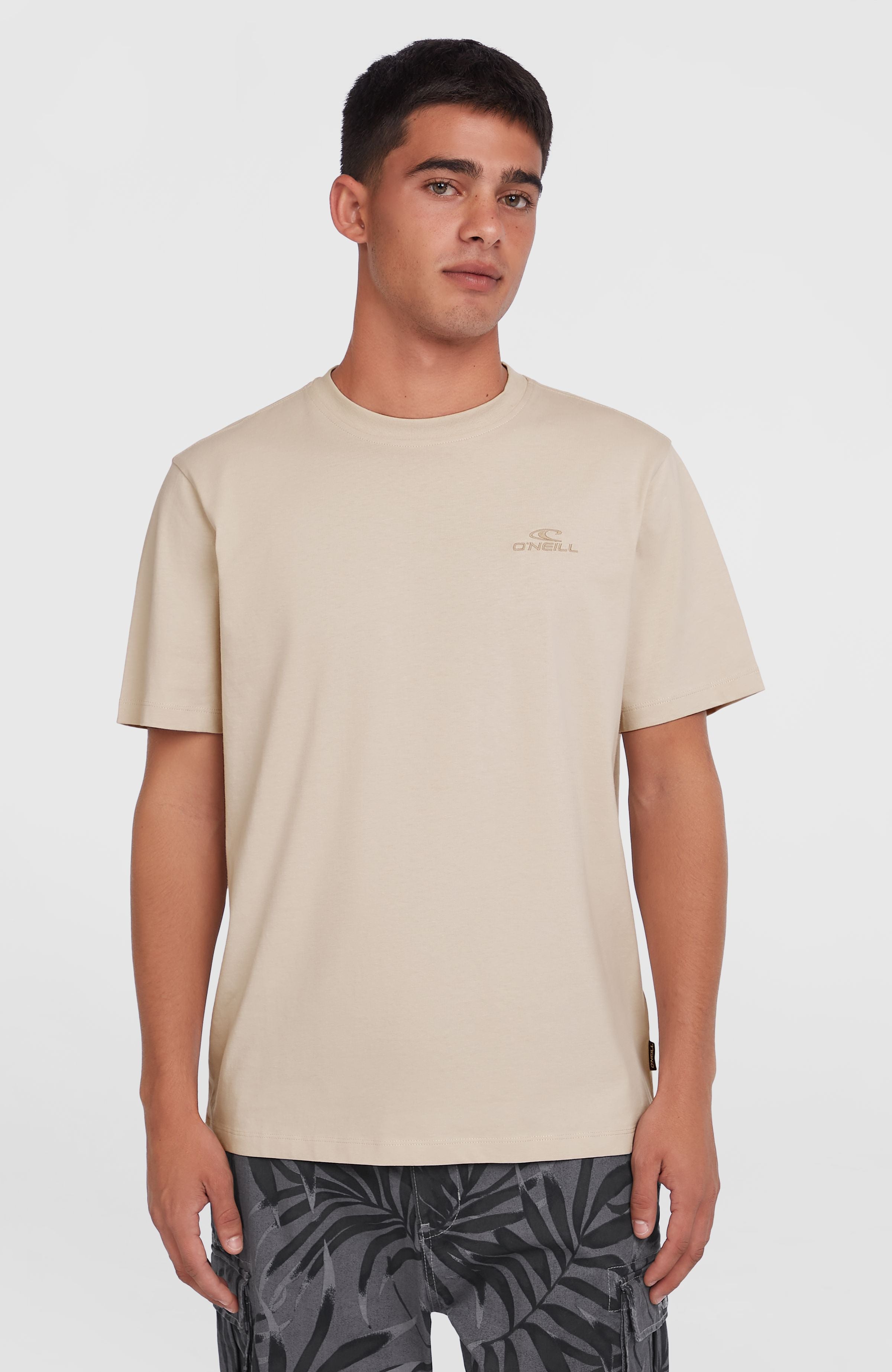 Small Logo T-Shirt Atmosphere