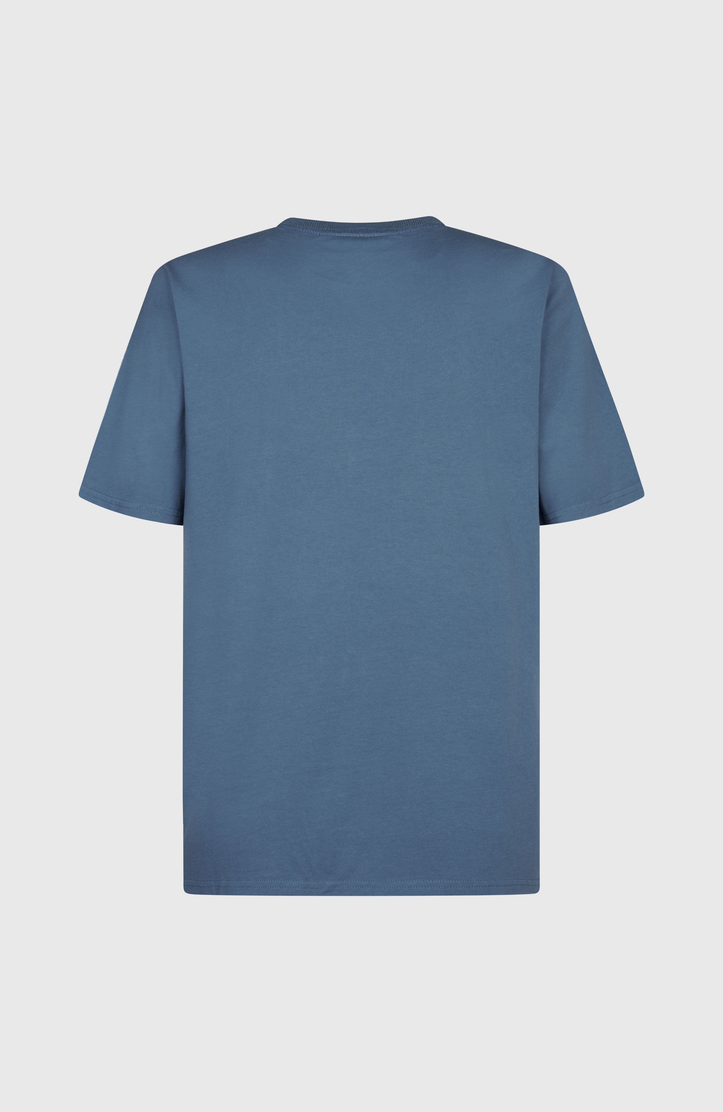 Future Surf Society T-Shirt Copen Blue