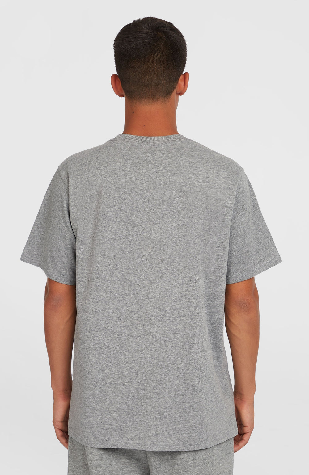 Future Surf Society T-Shirt Silver Melee
