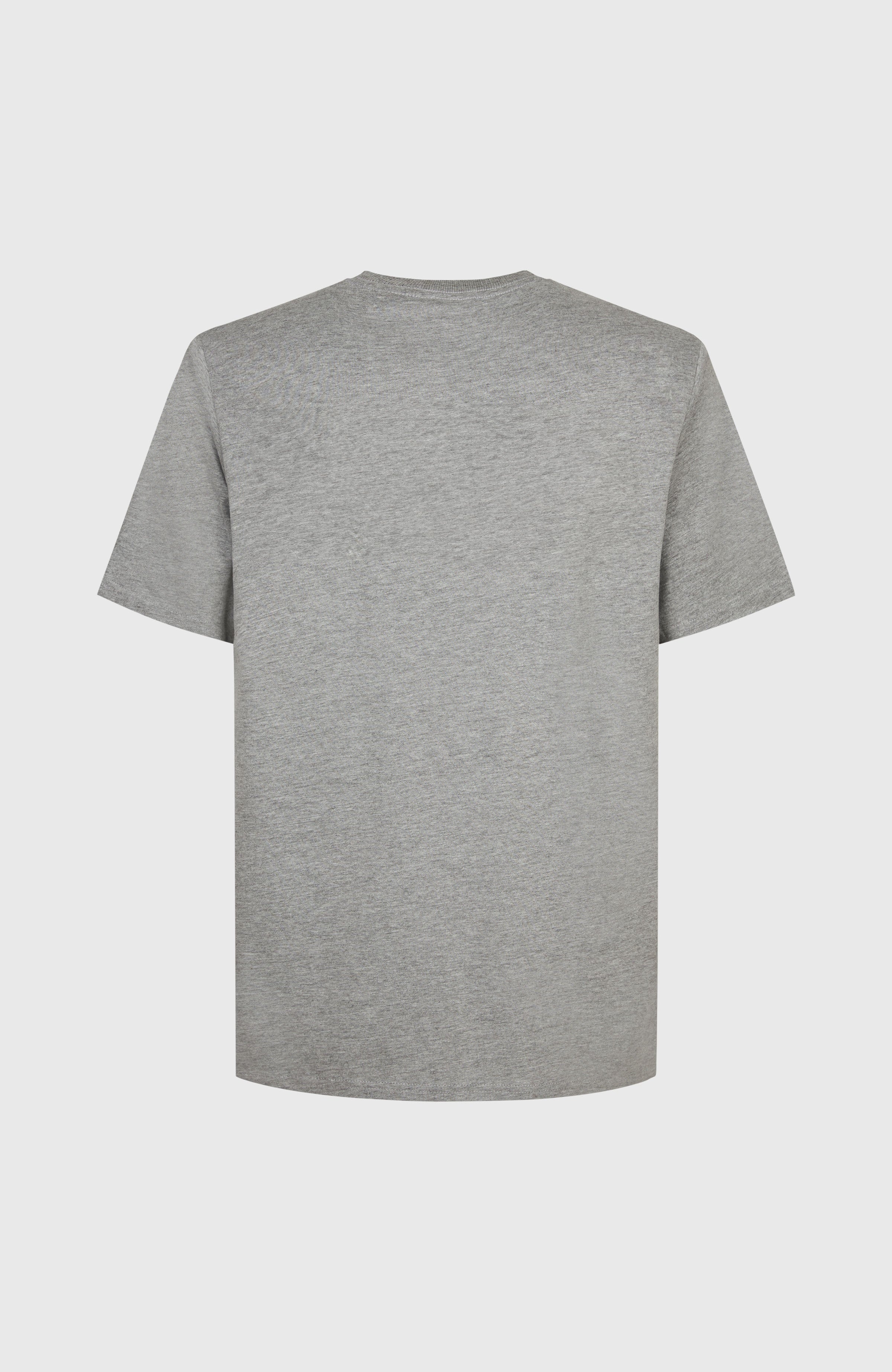 Future Surf Society T-Shirt Silver Melee