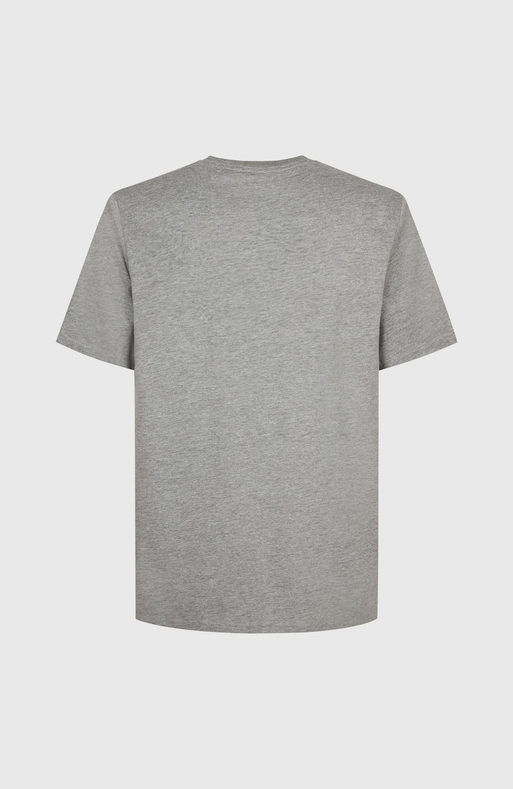 Future Surf Society T-Shirt Silver Melee