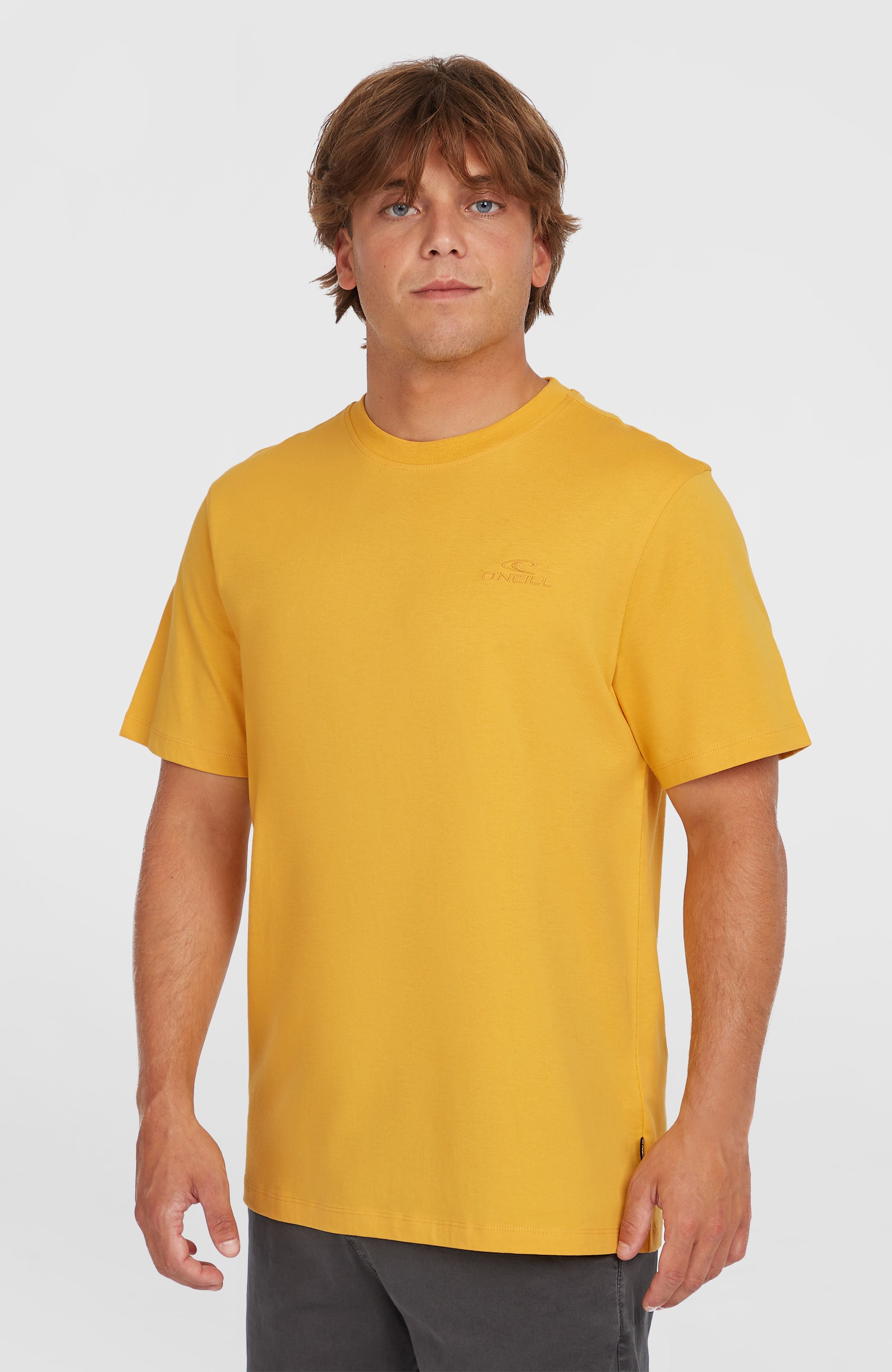 Small Logo T-Shirt Golden Haze