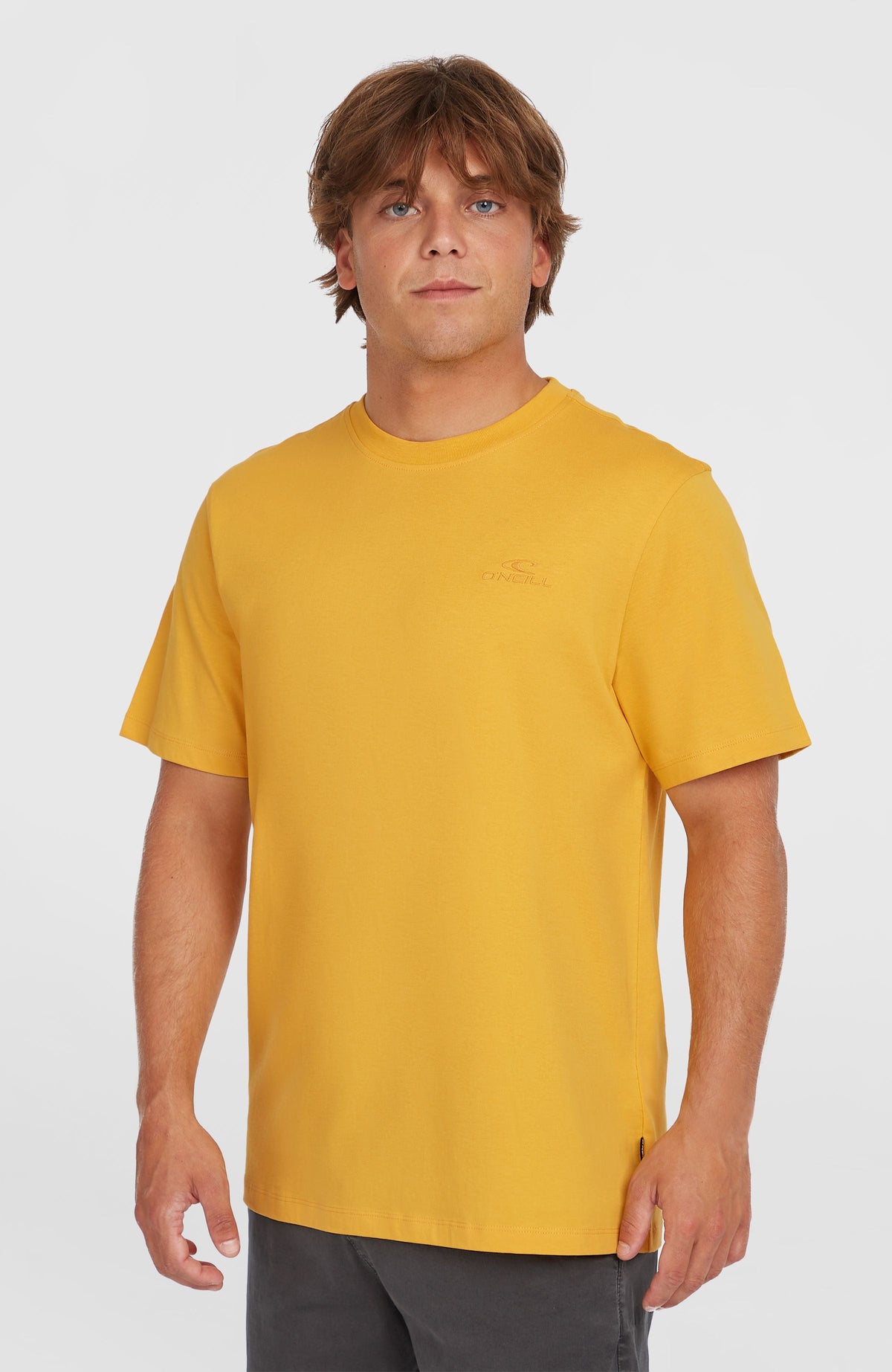Small Logo T-Shirt Golden Haze