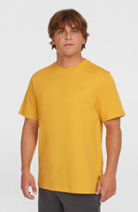 Small Logo T-Shirt Golden Haze