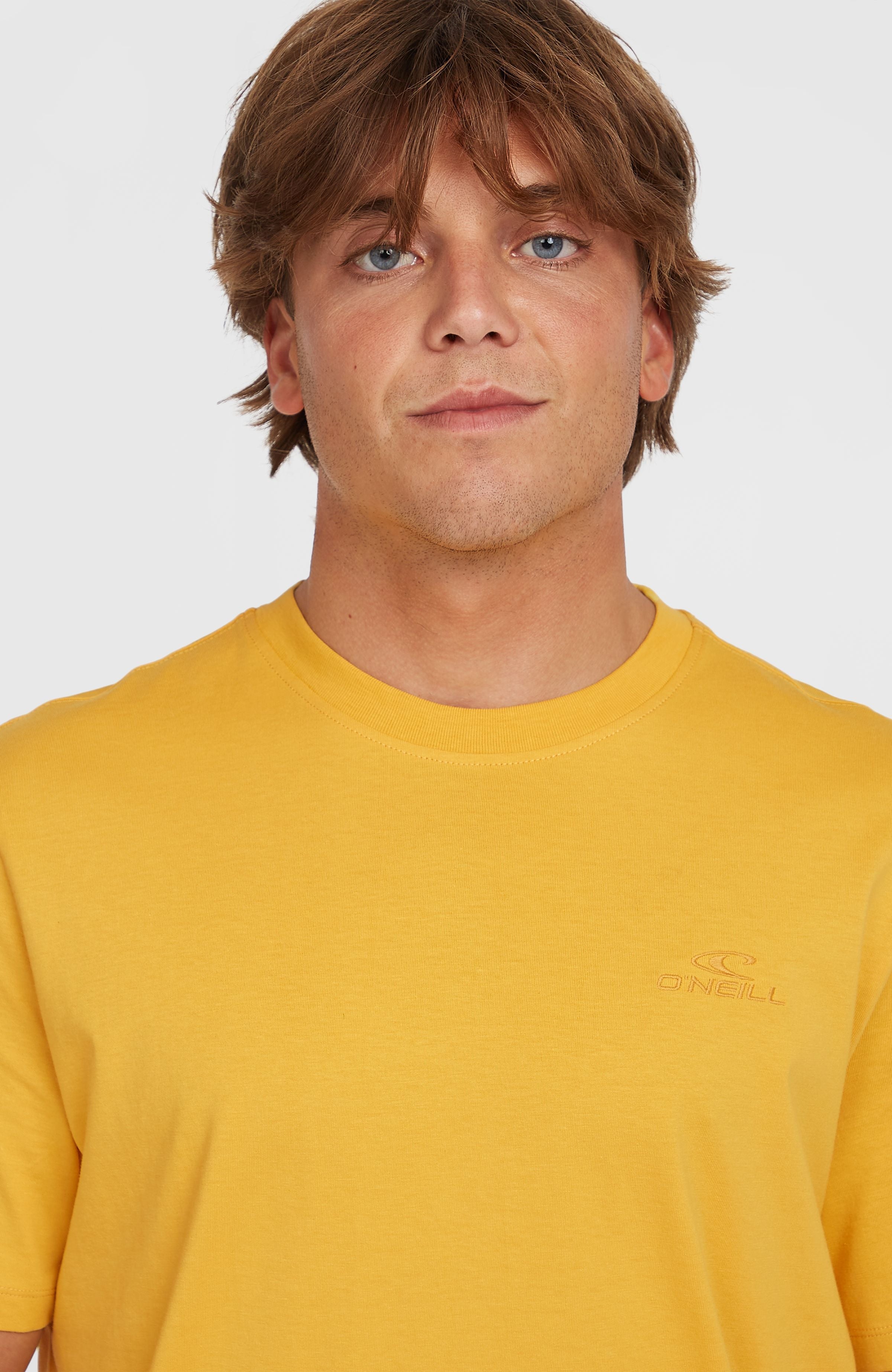 Small Logo T-Shirt Golden Haze