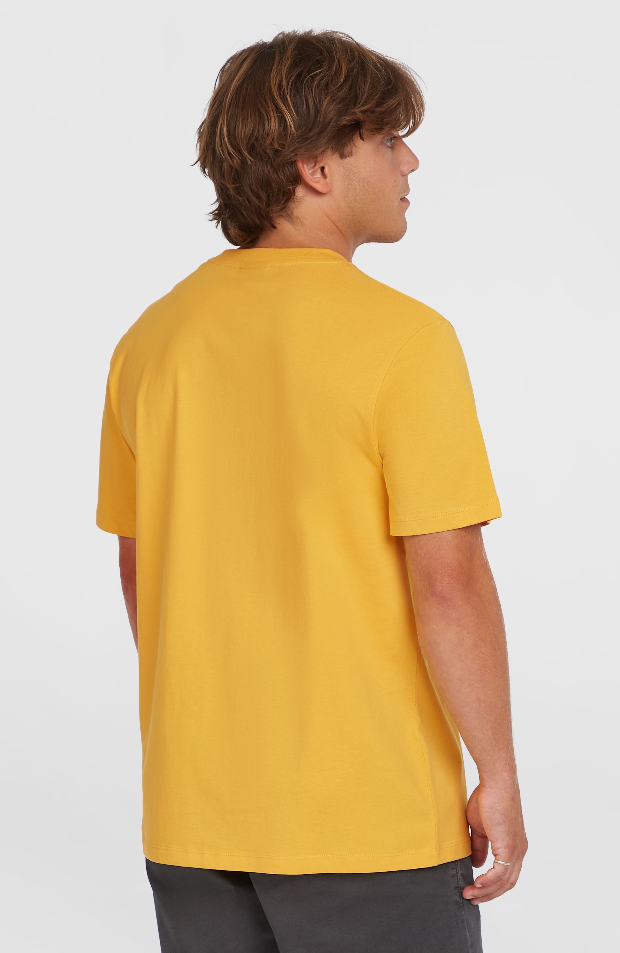 Small Logo T-Shirt Golden Haze