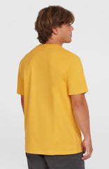 Small Logo T-Shirt Golden Haze