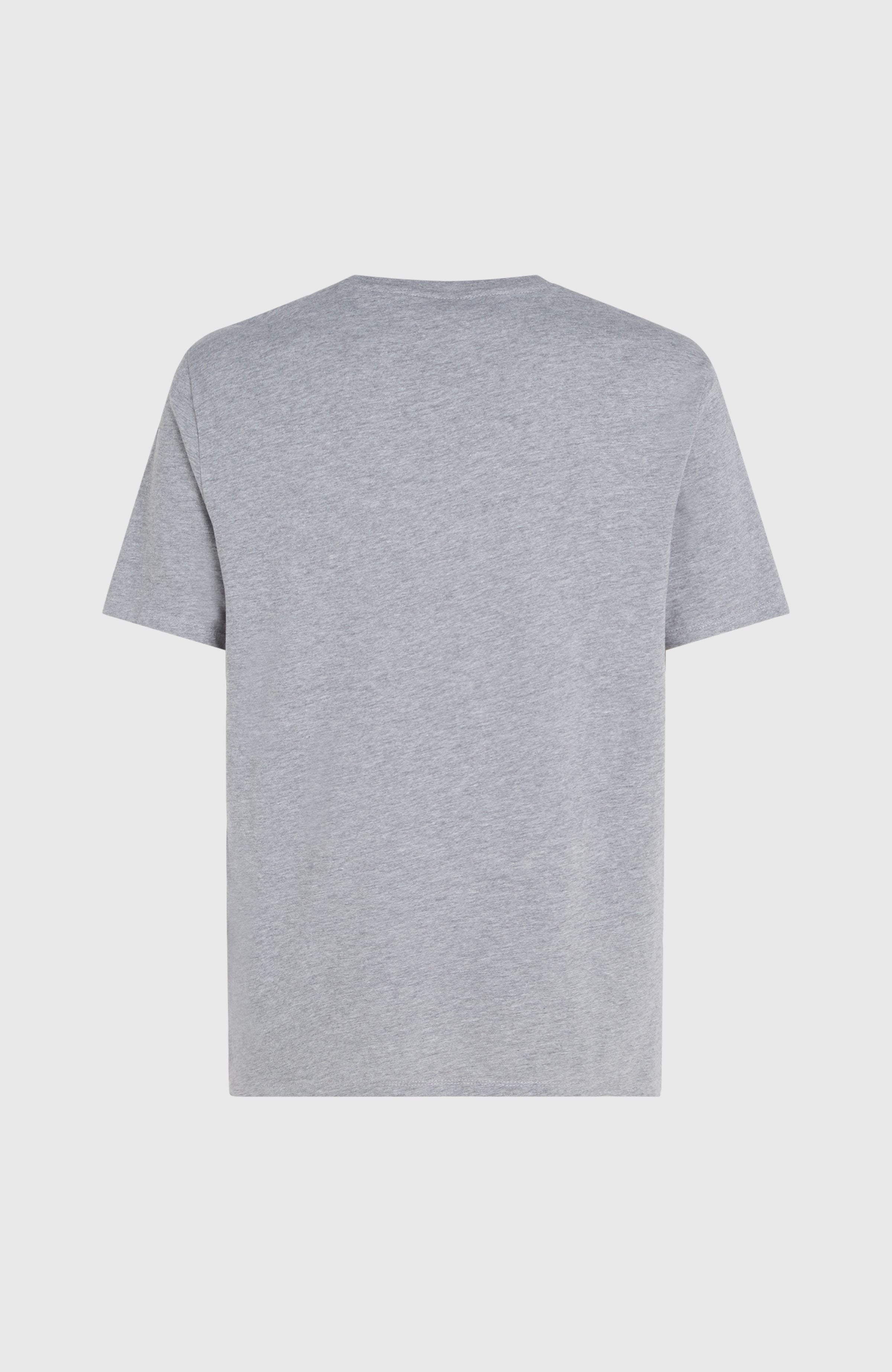 O'Neill Logo T-Shirt Silver Melee -A