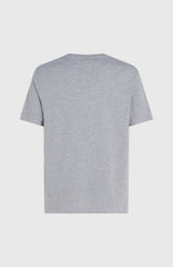 O'Neill Logo T-Shirt Silver Melee -A