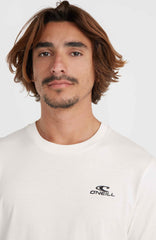 O'Neill Small Logo T-Shirt Snow White