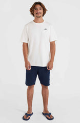 O'Neill Small Logo T-Shirt Snow White
