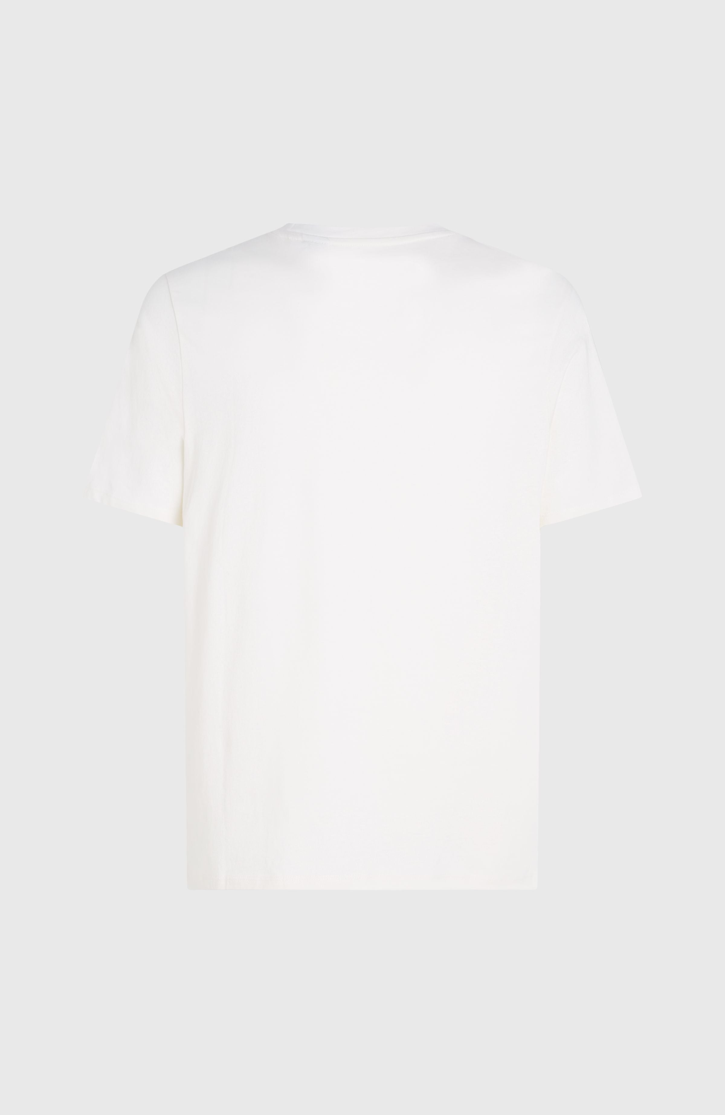 O'Neill Logo T-Shirt Snow White