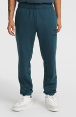Future Surf Society Sweatpants Alma Steel