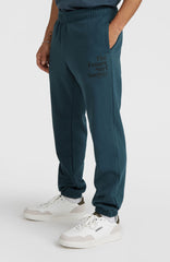 Future Surf Society Sweatpants Alma Steel