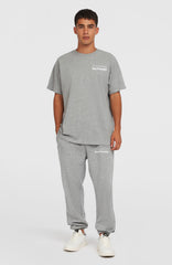 Future Surf Society Sweatpants Silver Melee