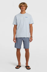 Hybrid 19" Melange Shorts English Evening