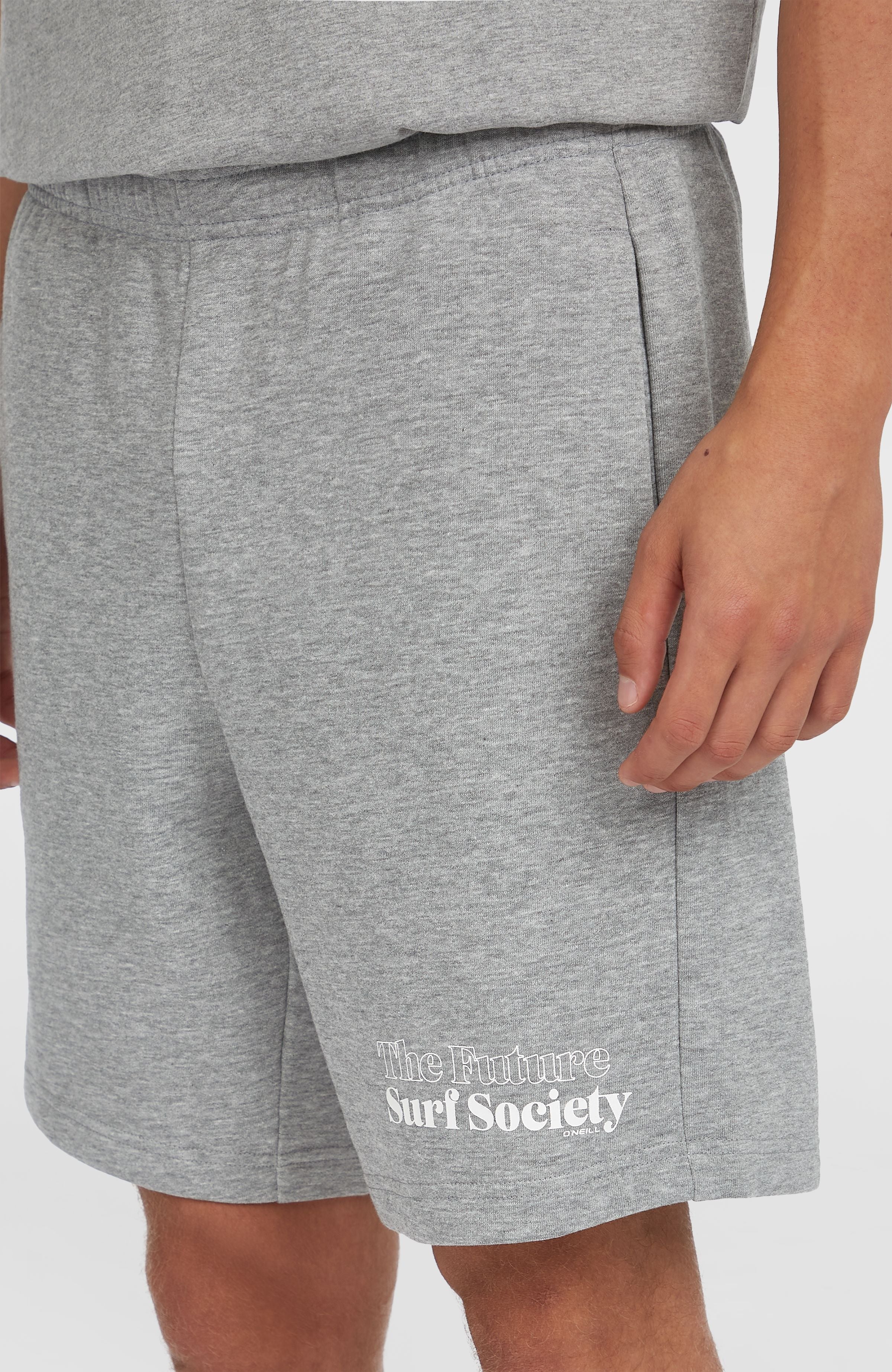 Future Surf Society Shorts Silver Melee