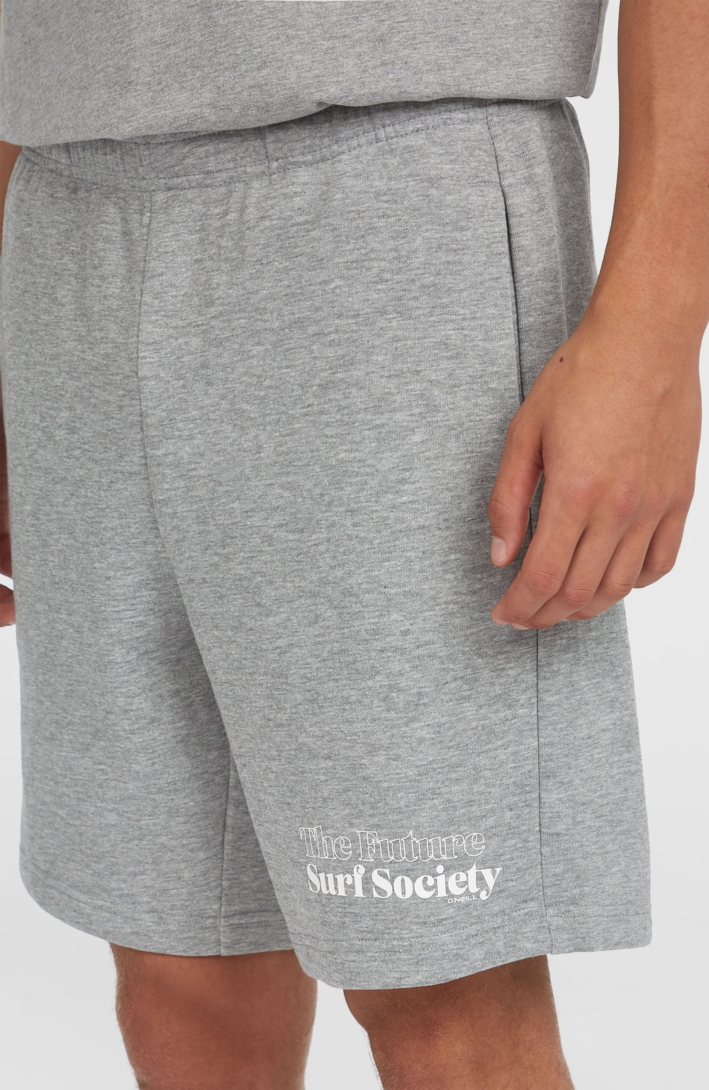 Future Surf Society Shorts Silver Melee