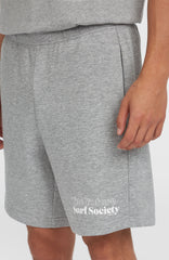 Future Surf Society Shorts Silver Melee