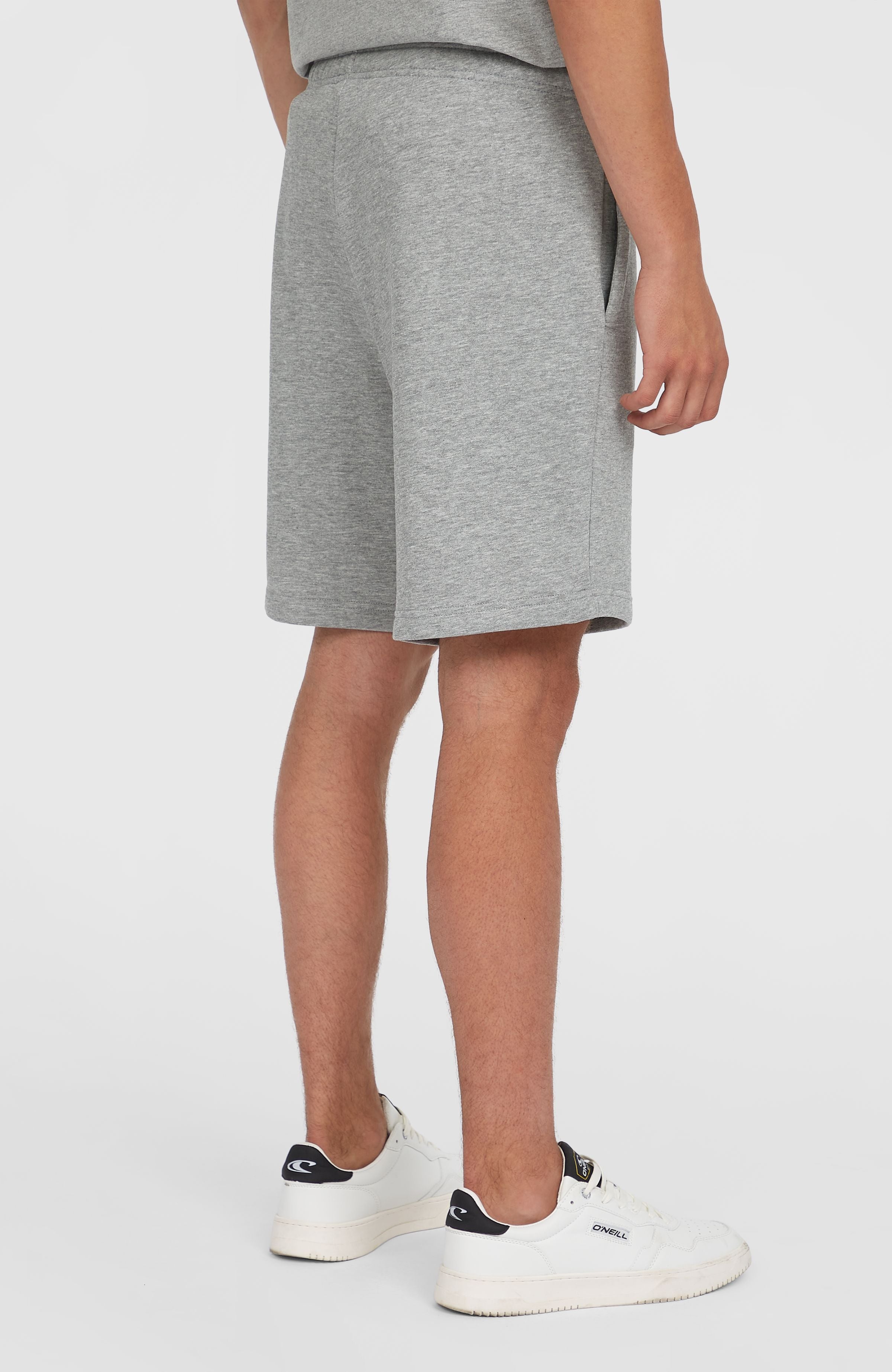 Future Surf Society Shorts Silver Melee