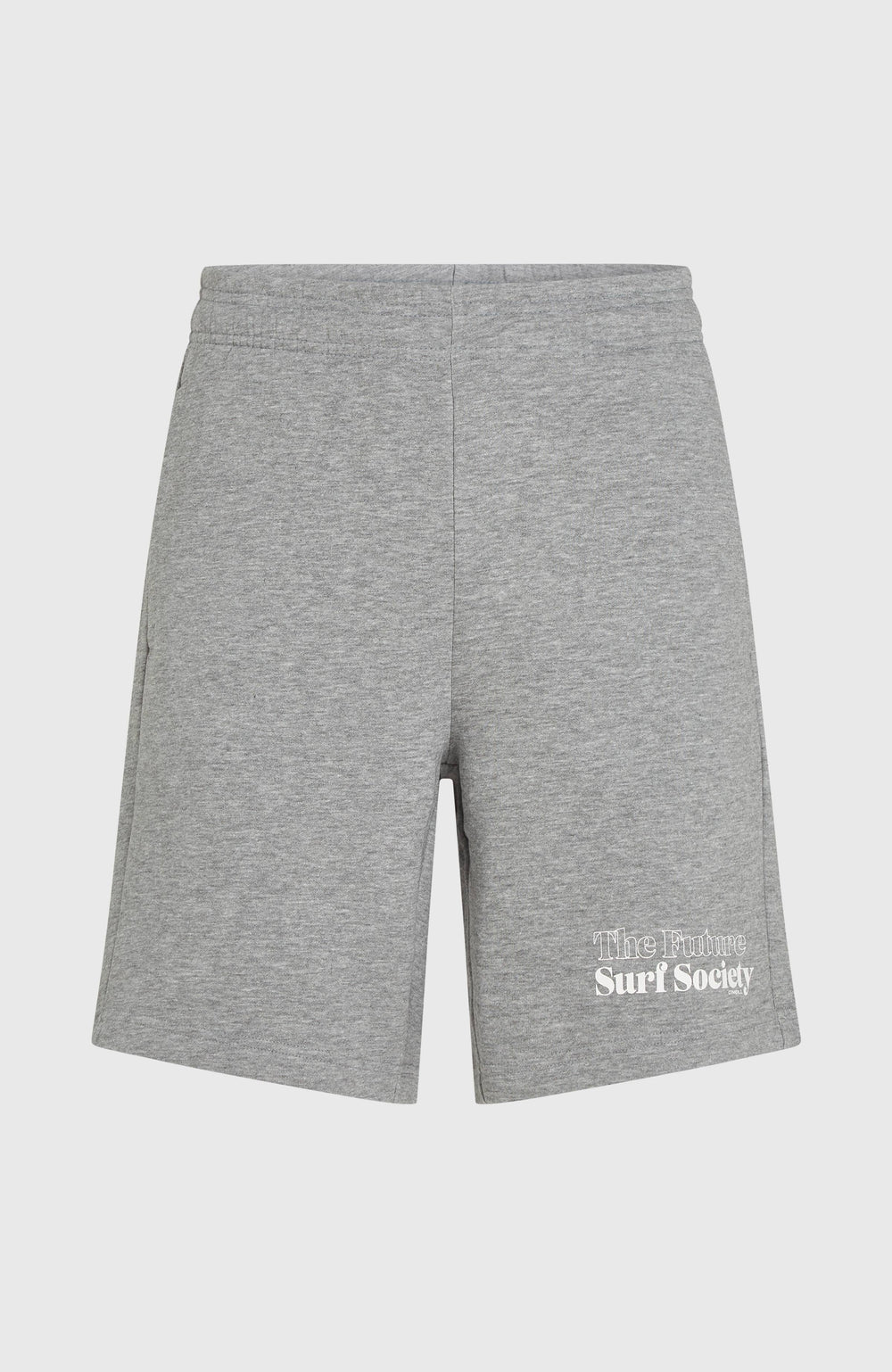 Future Surf Society Shorts Silver Melee