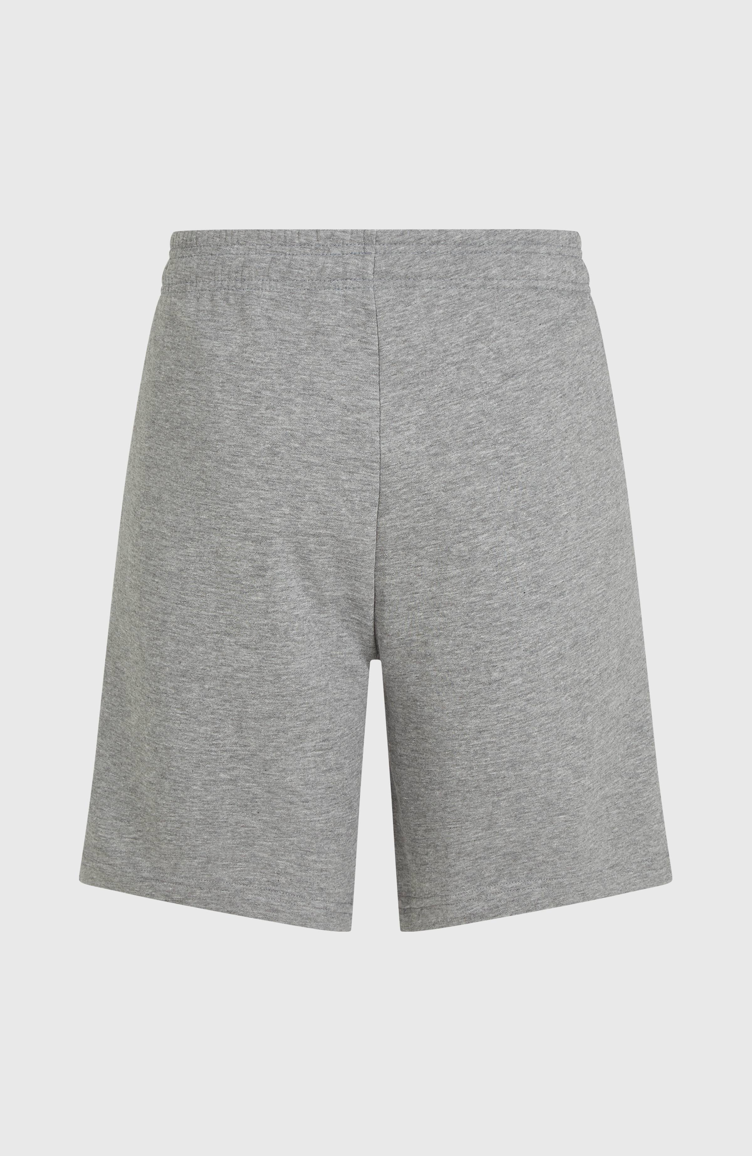 Future Surf Society Shorts Silver Melee